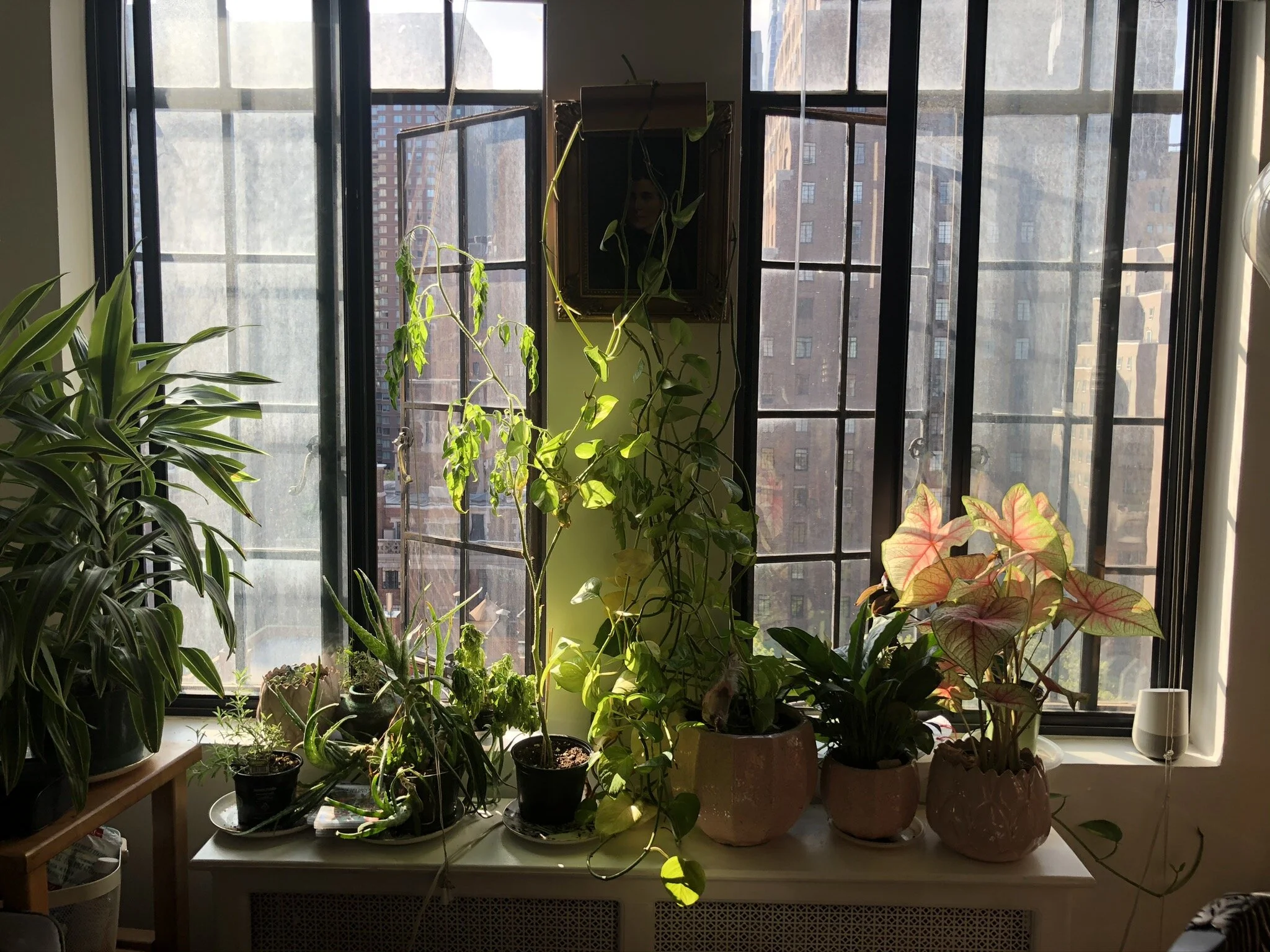 IMG_0485.JPEG