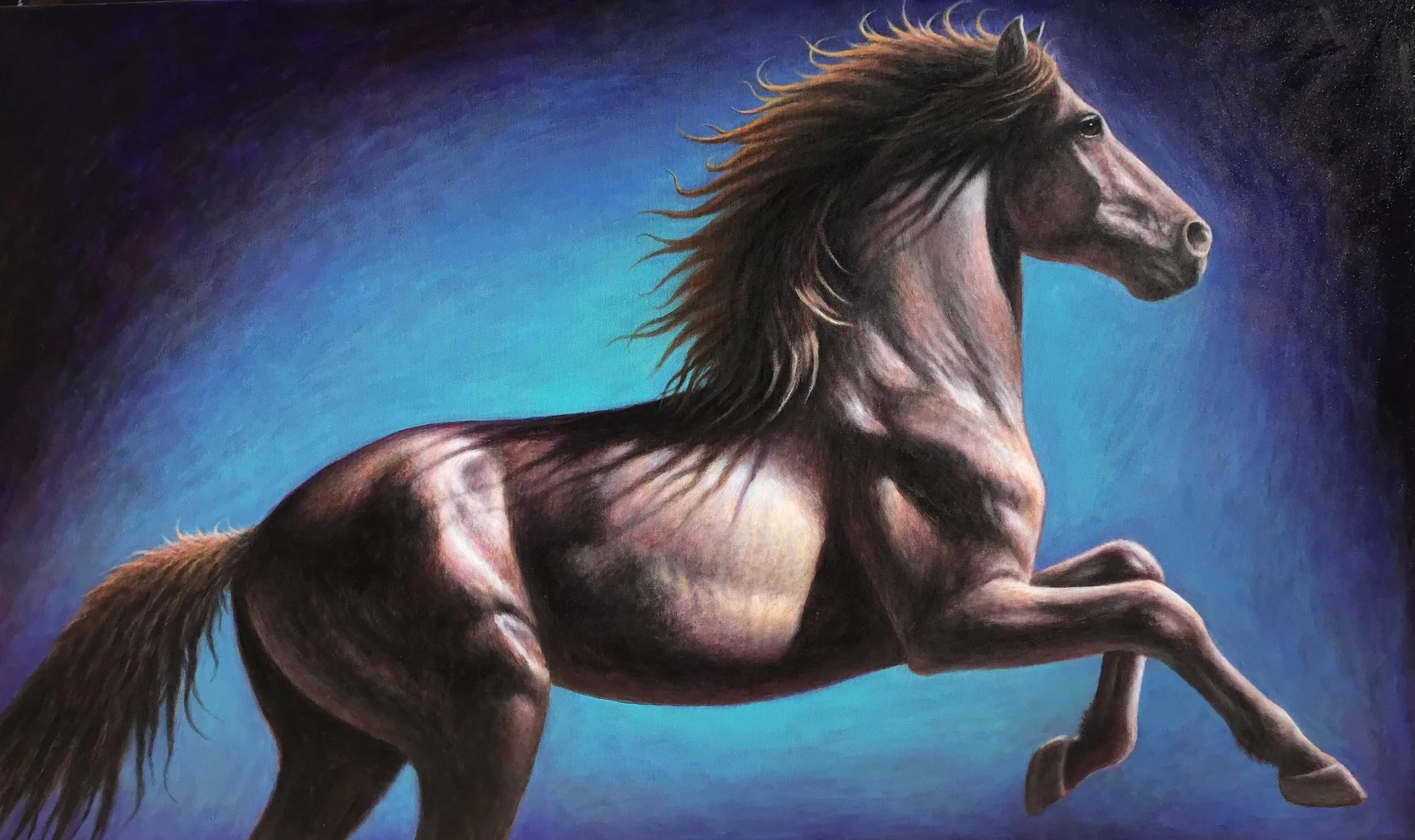 Dark Horse 36x60.jpeg