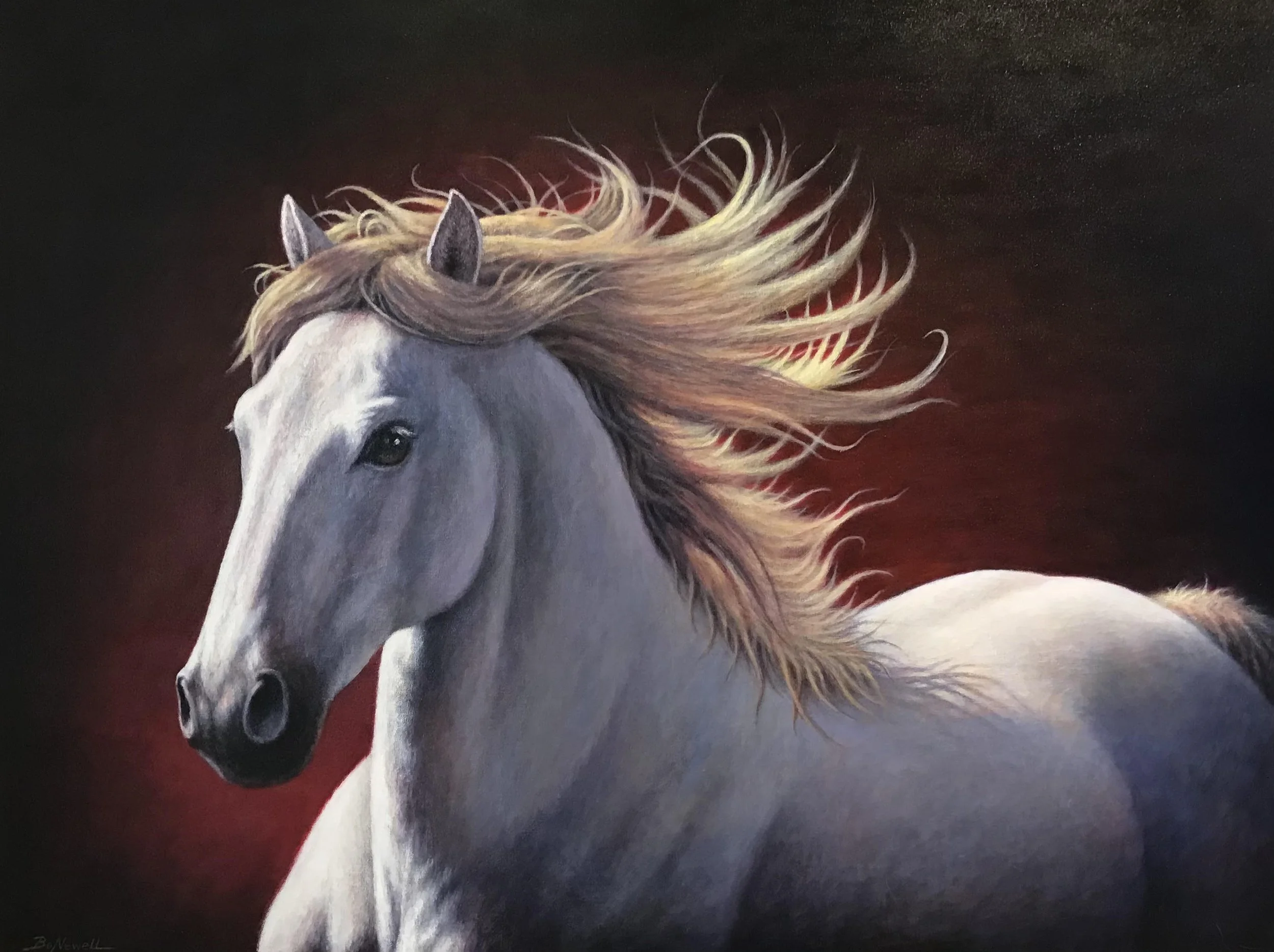 Favorably Focused Chivalrous Steed 30x40.jpeg