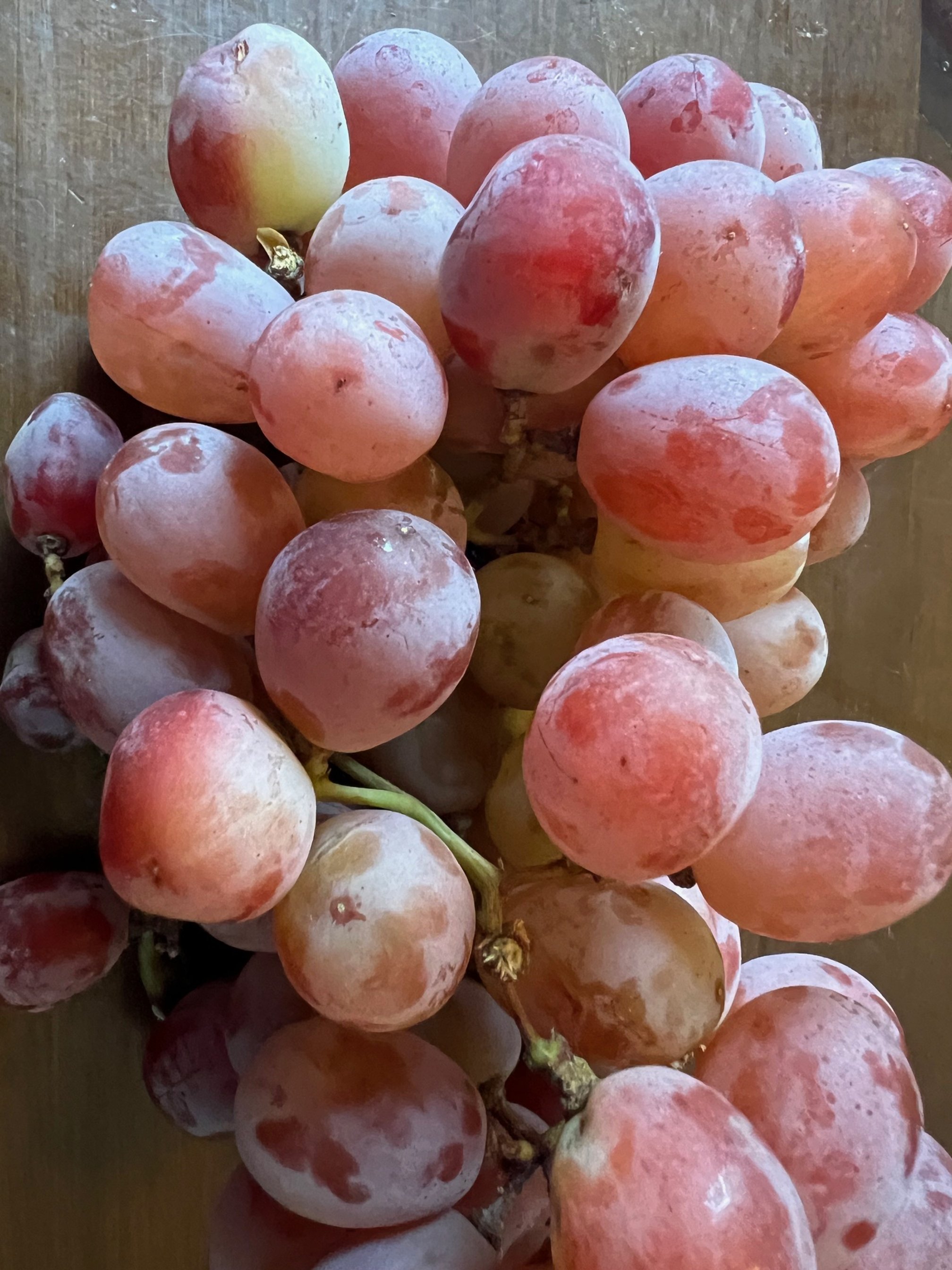 Grapes—Vitis Vinifera L