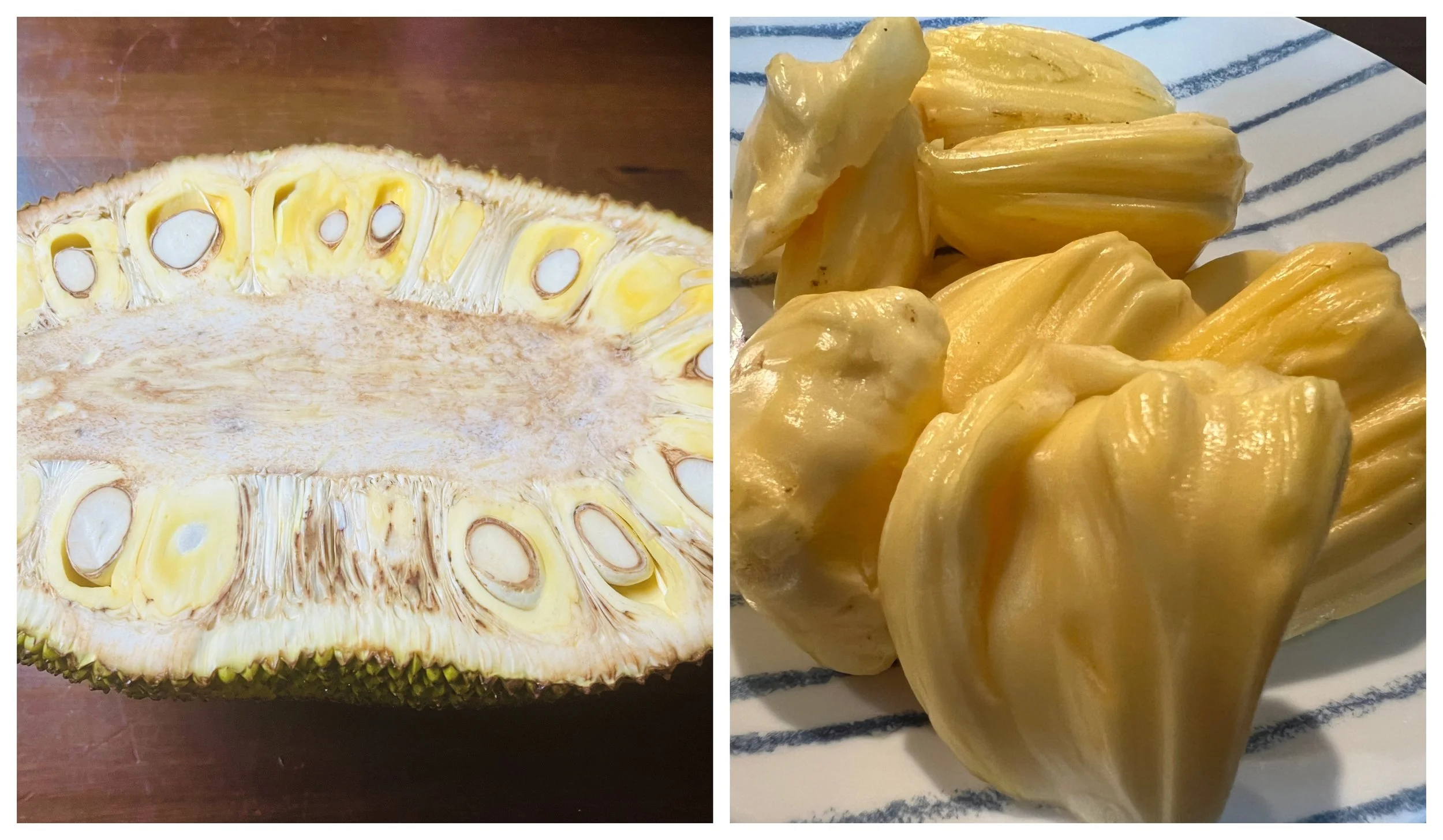 Jackfruit—Artocarpus heterophyllus