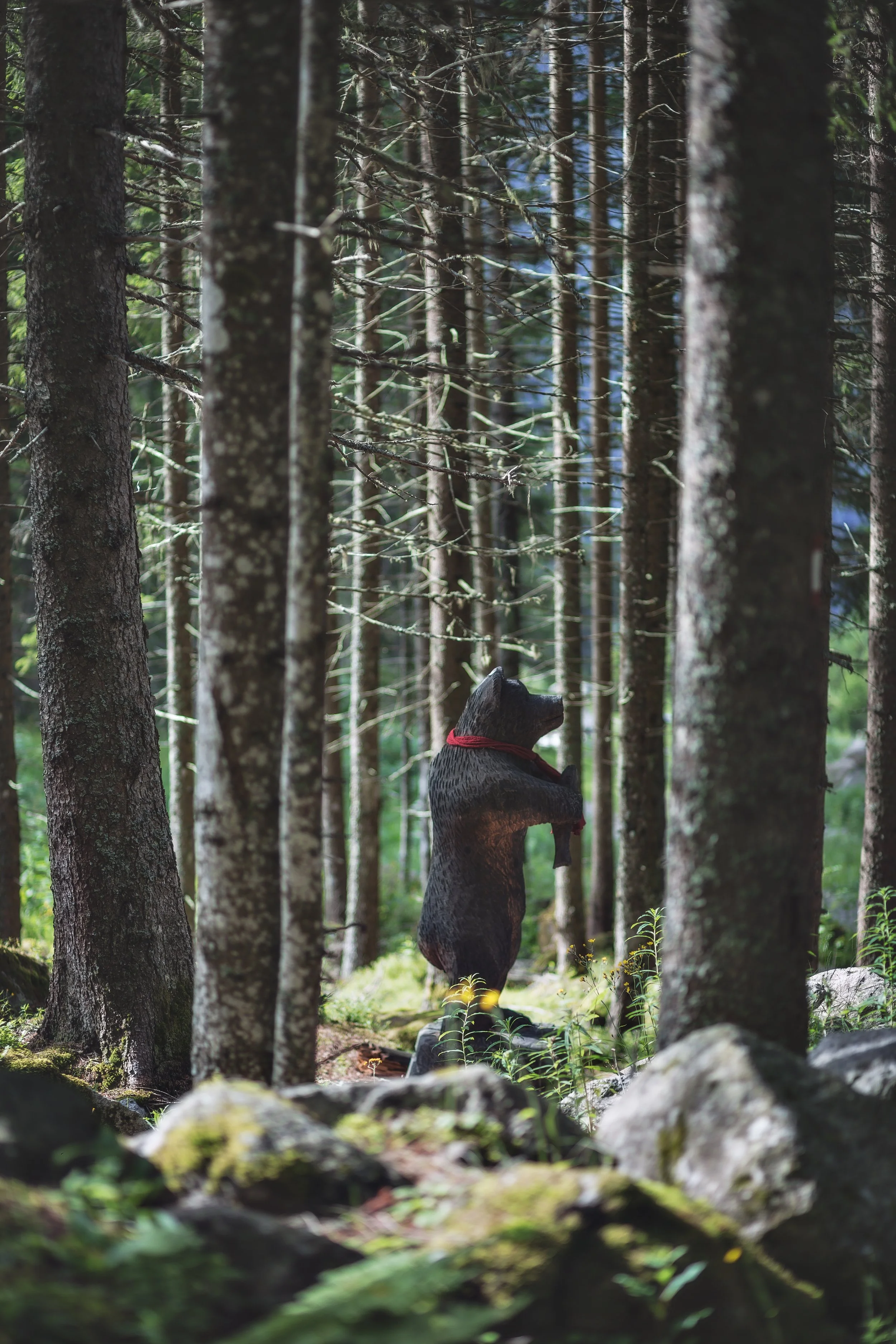 “Please Be Careful, Mama Bear Is Back”