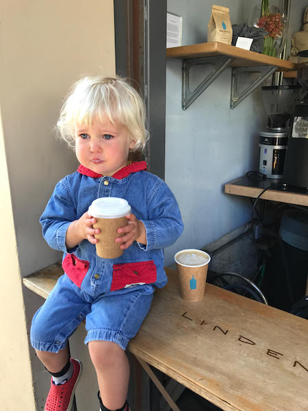 Tribeca Citizen  New Kid on the Block: Blue Bottle Coffee