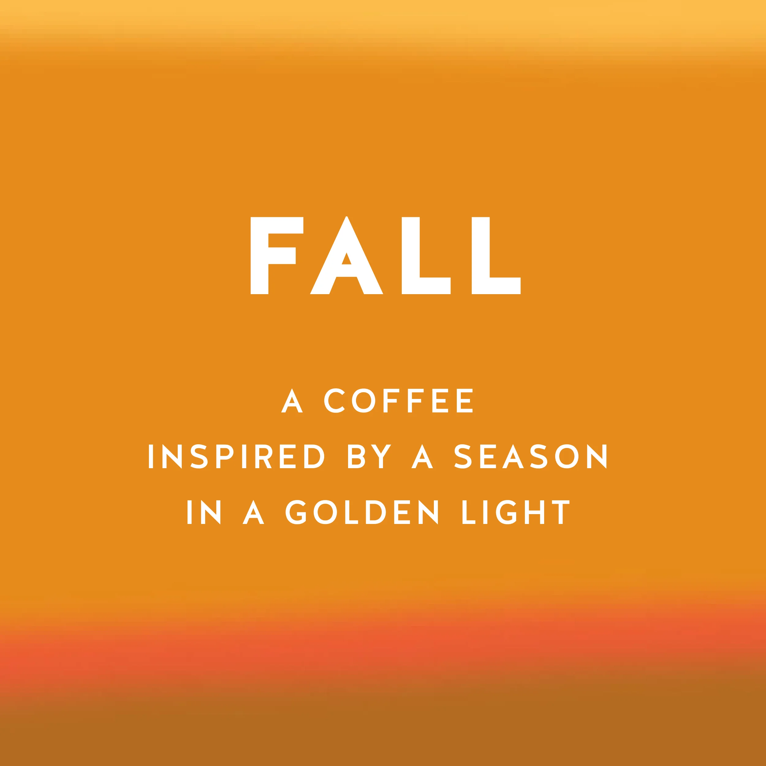 Fall at Blue Bottle