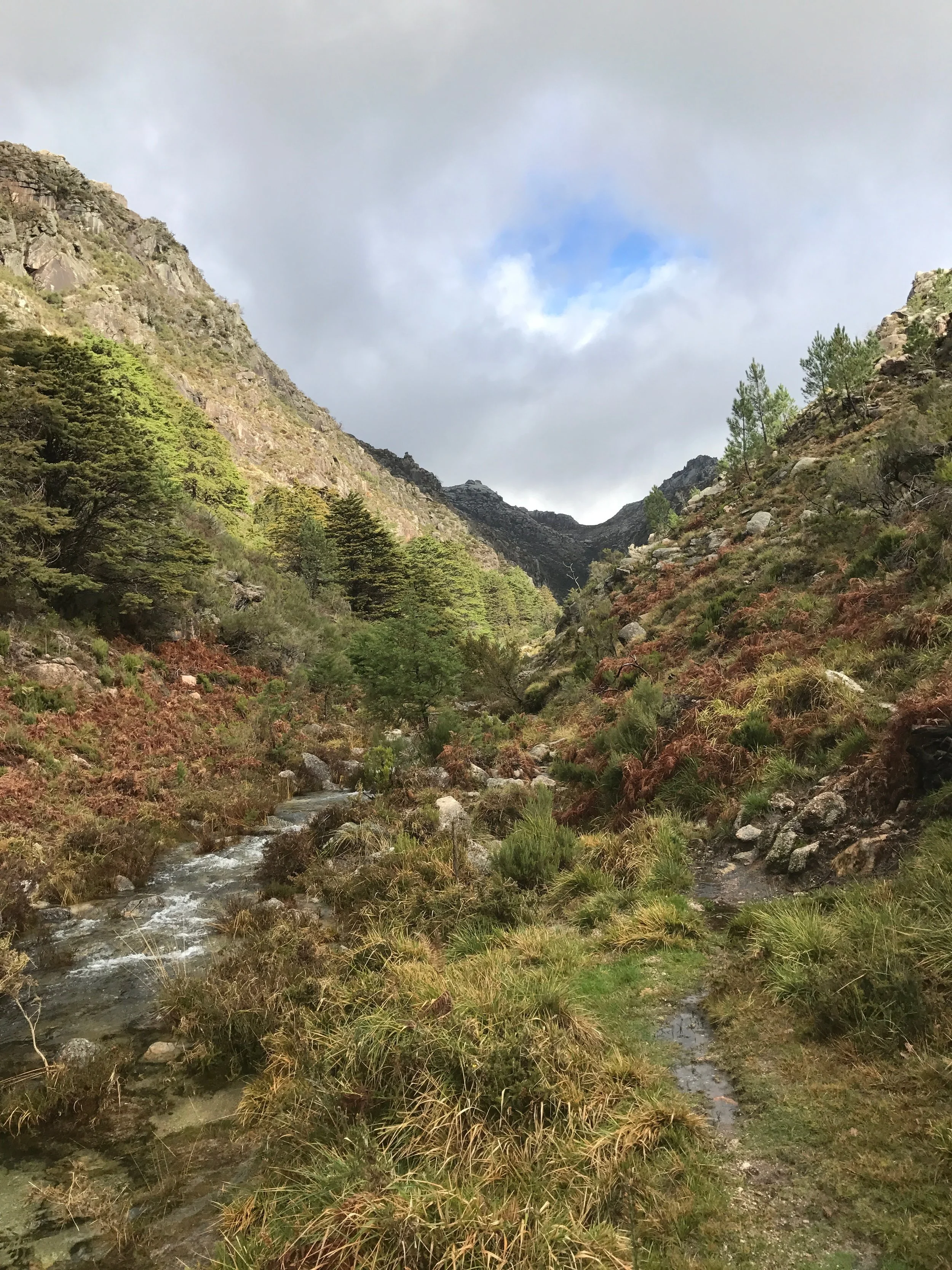 Running through the Peneda-Gerês National Park - Porto, Portugal