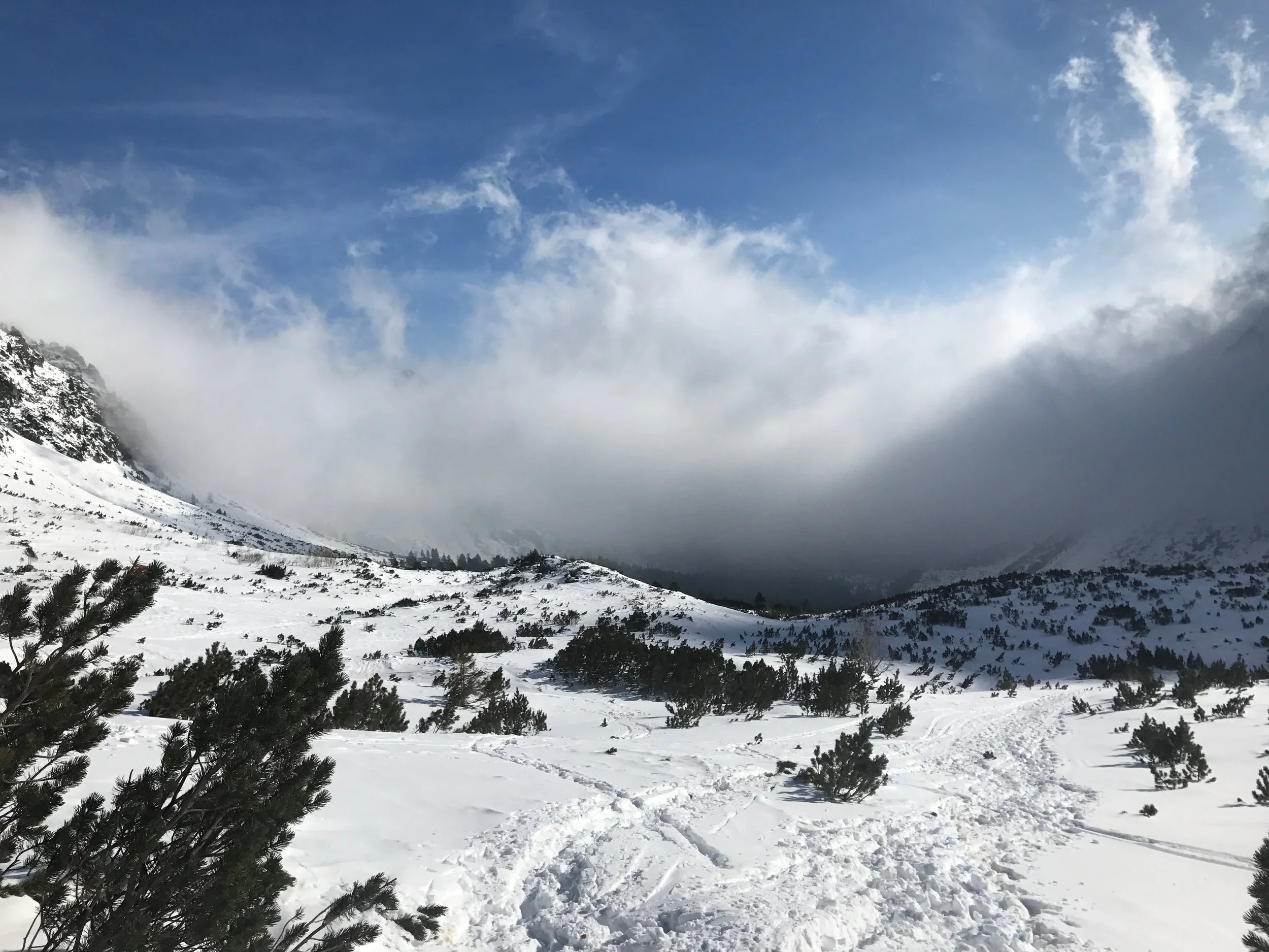 Running in the High Tatra Mountains - Štrbské Pleso, Slovakia