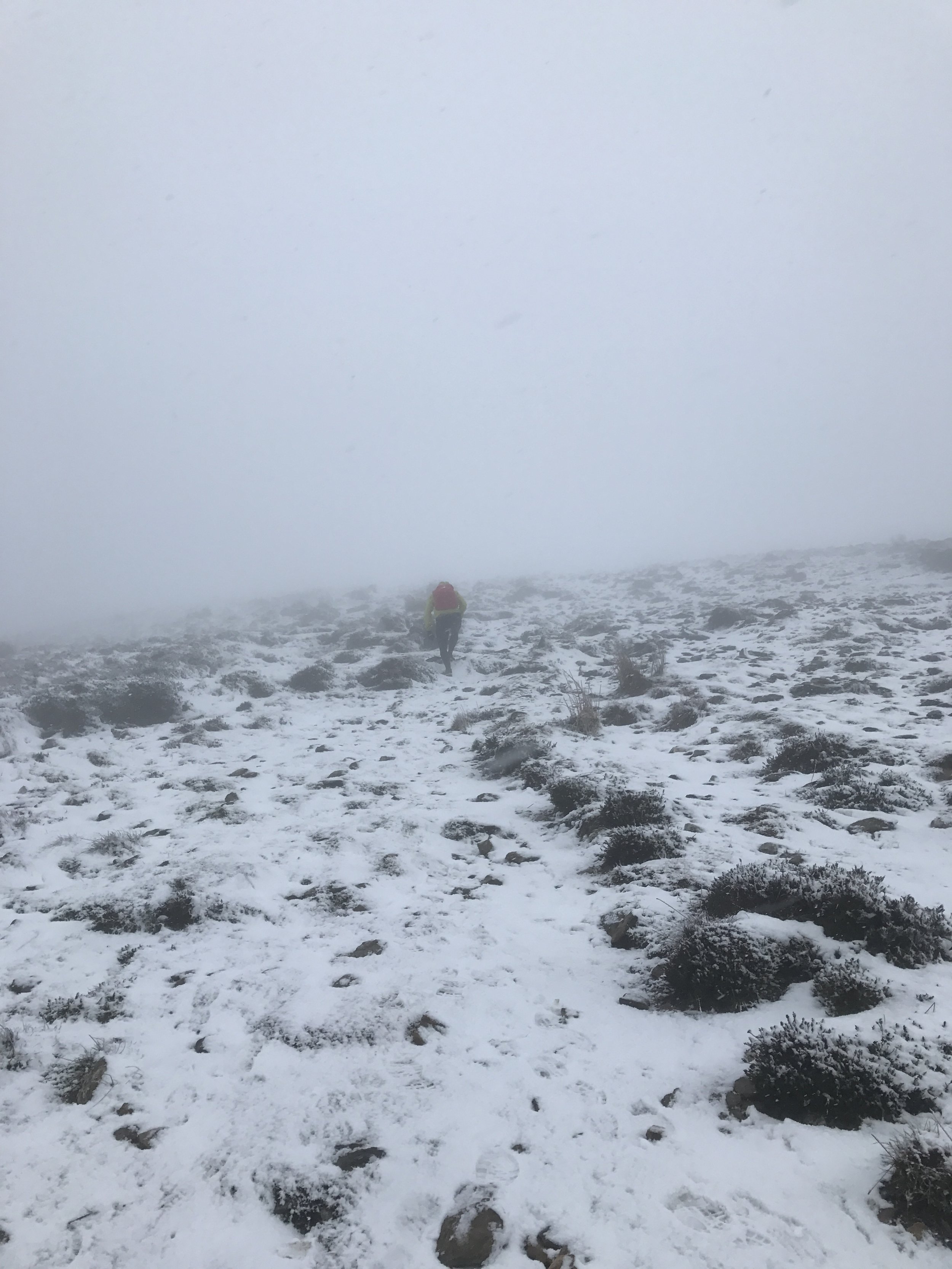 An ultrarunning adventure on the Wicklow Way - Dublin, Ireland