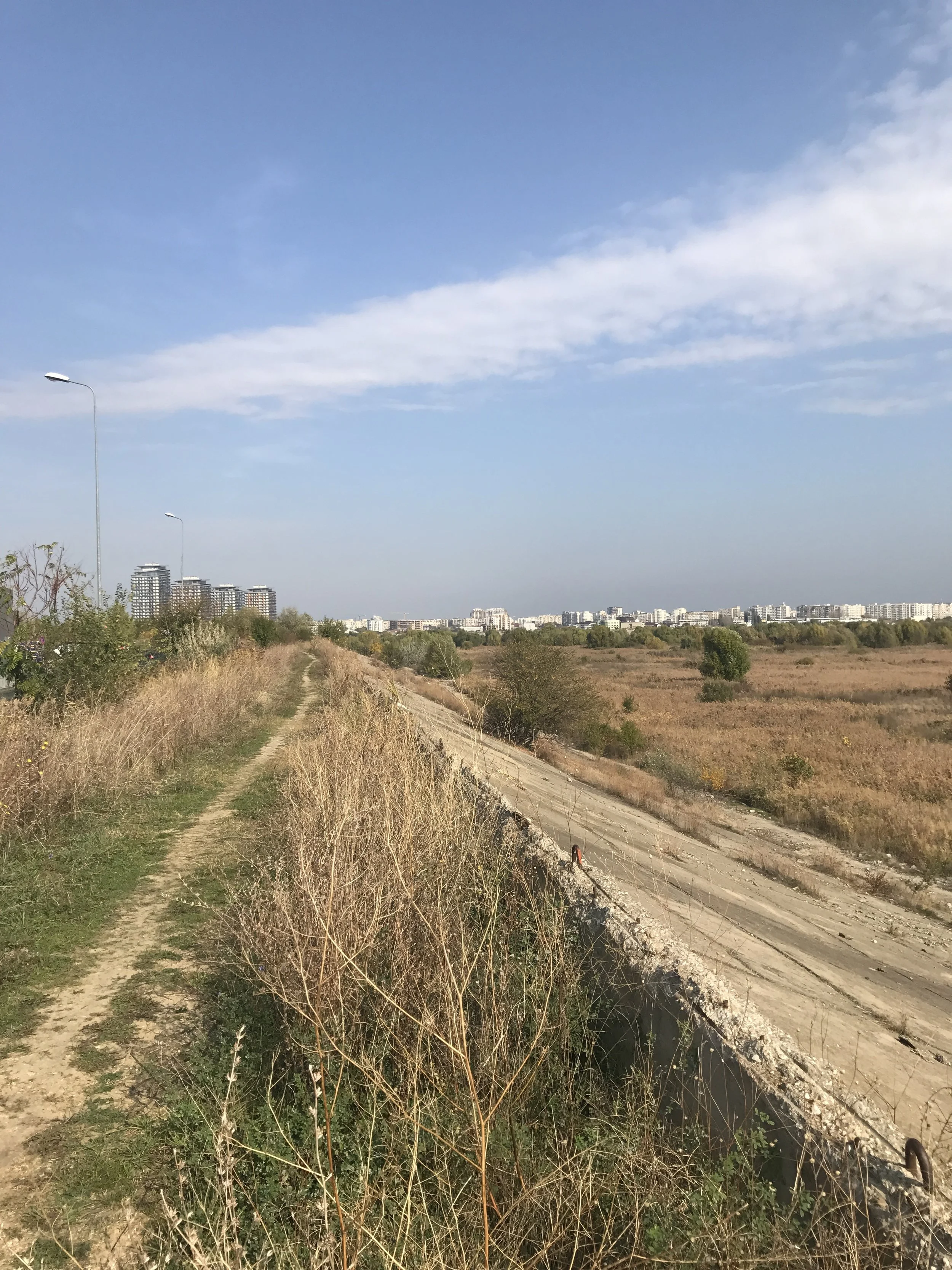 A solo marathon through city streets and Văcărești Nature Park - Bucharest, Romania
