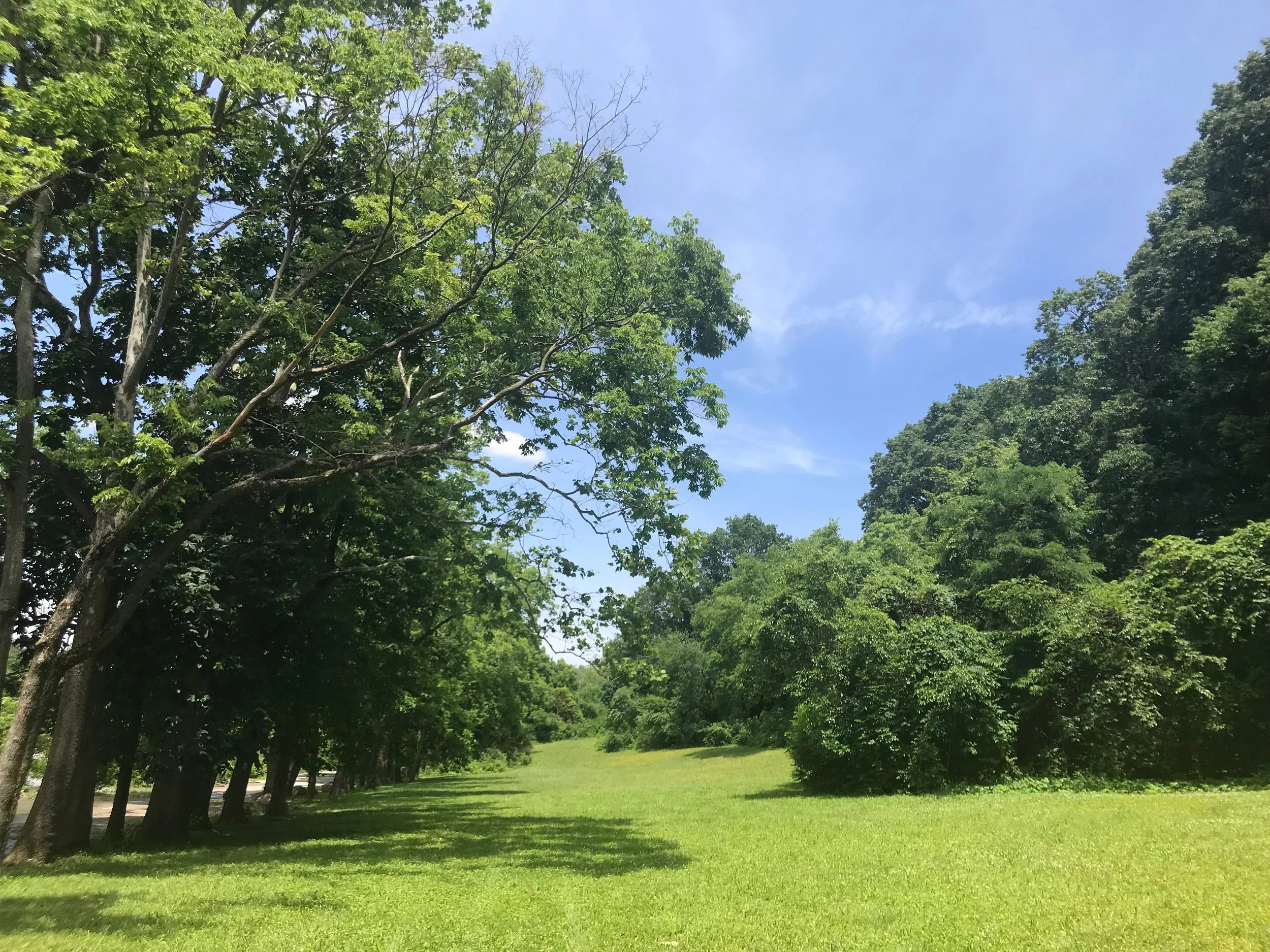 6 training tips for trail runners who don't live near trails - Columbus, Ohio
