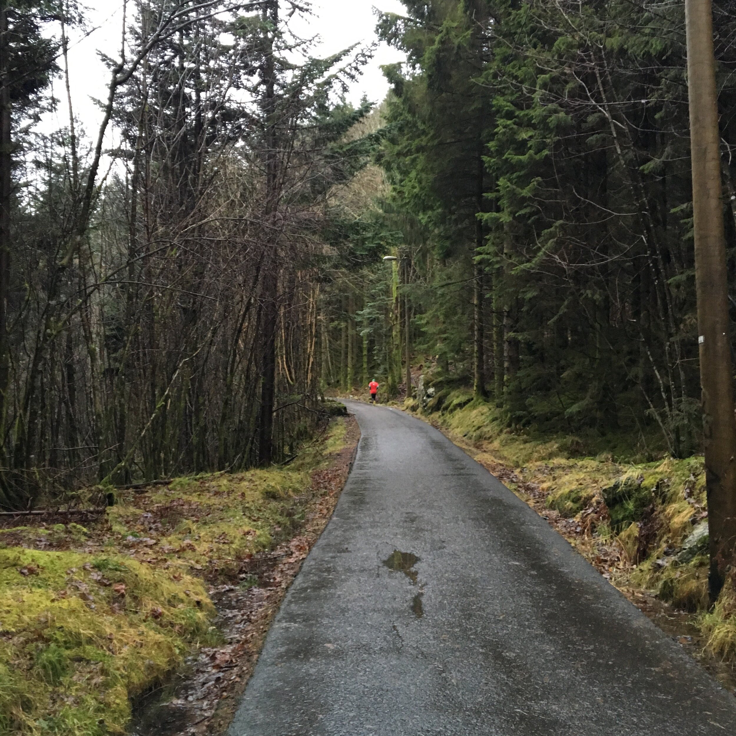 Running a marathon way up north, the Maratonkarusellen - Bergen, Norway