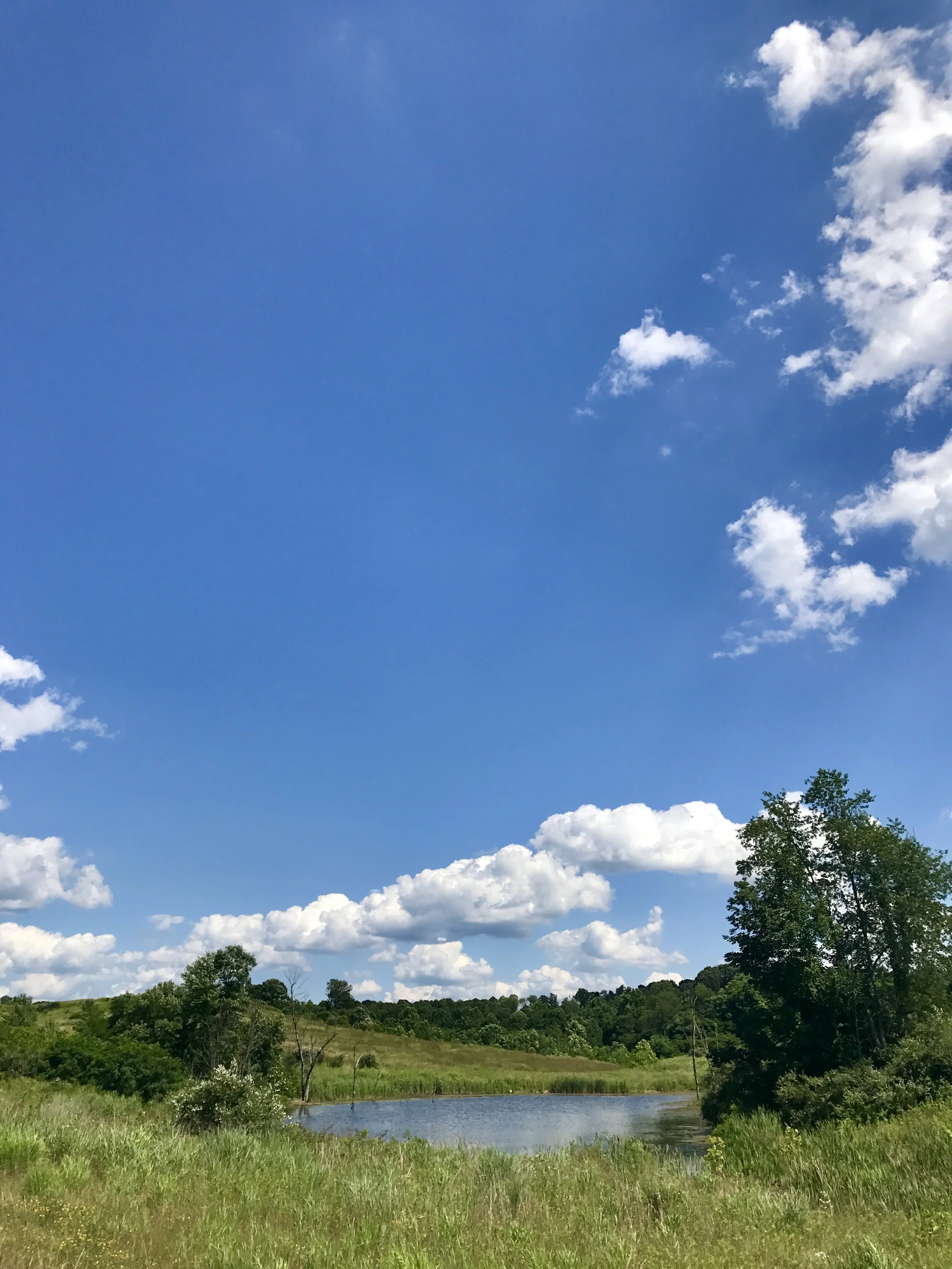 Ultrarunning through a reclaimed strip mine - AEP Recreation Land, Ohio