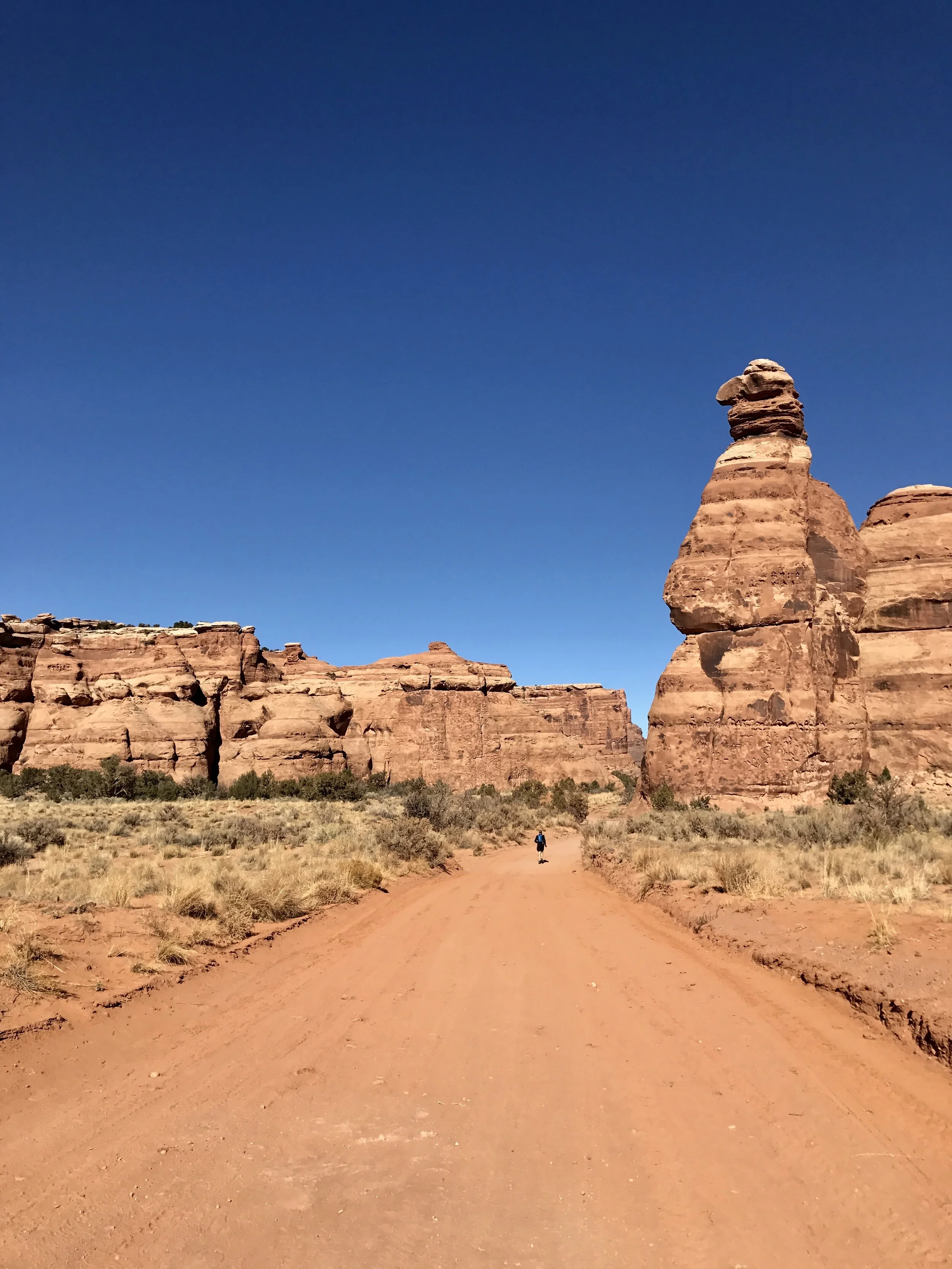 Running the Dead Horse Ultramarathon - Moab, Utah