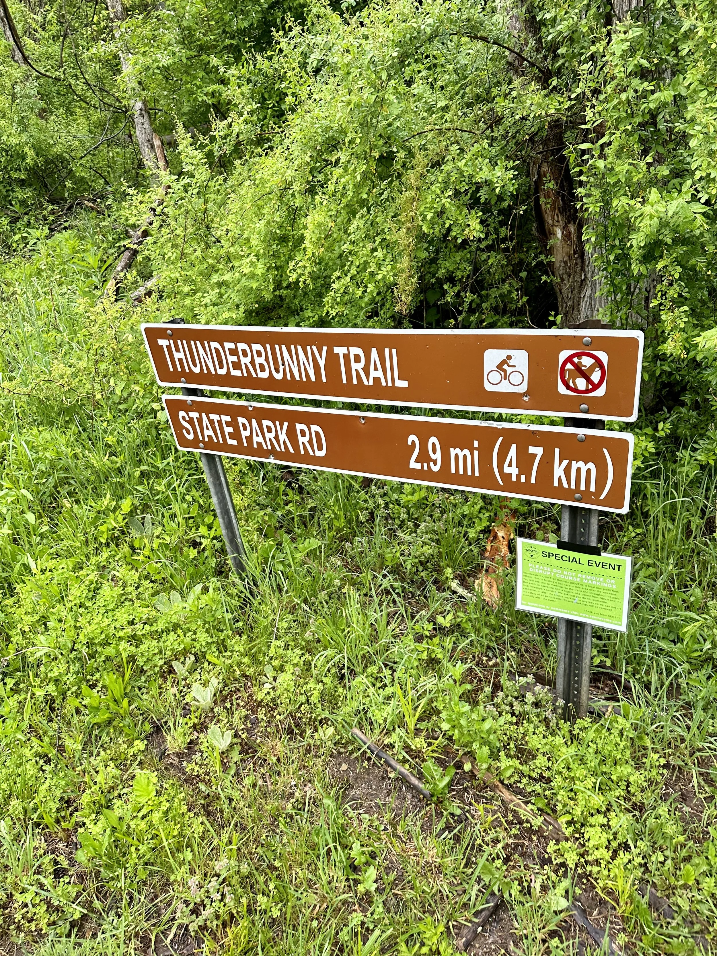 Southern Ohio Singletrack Bliss at the Thunderbunny 50k - Athens, Ohio
