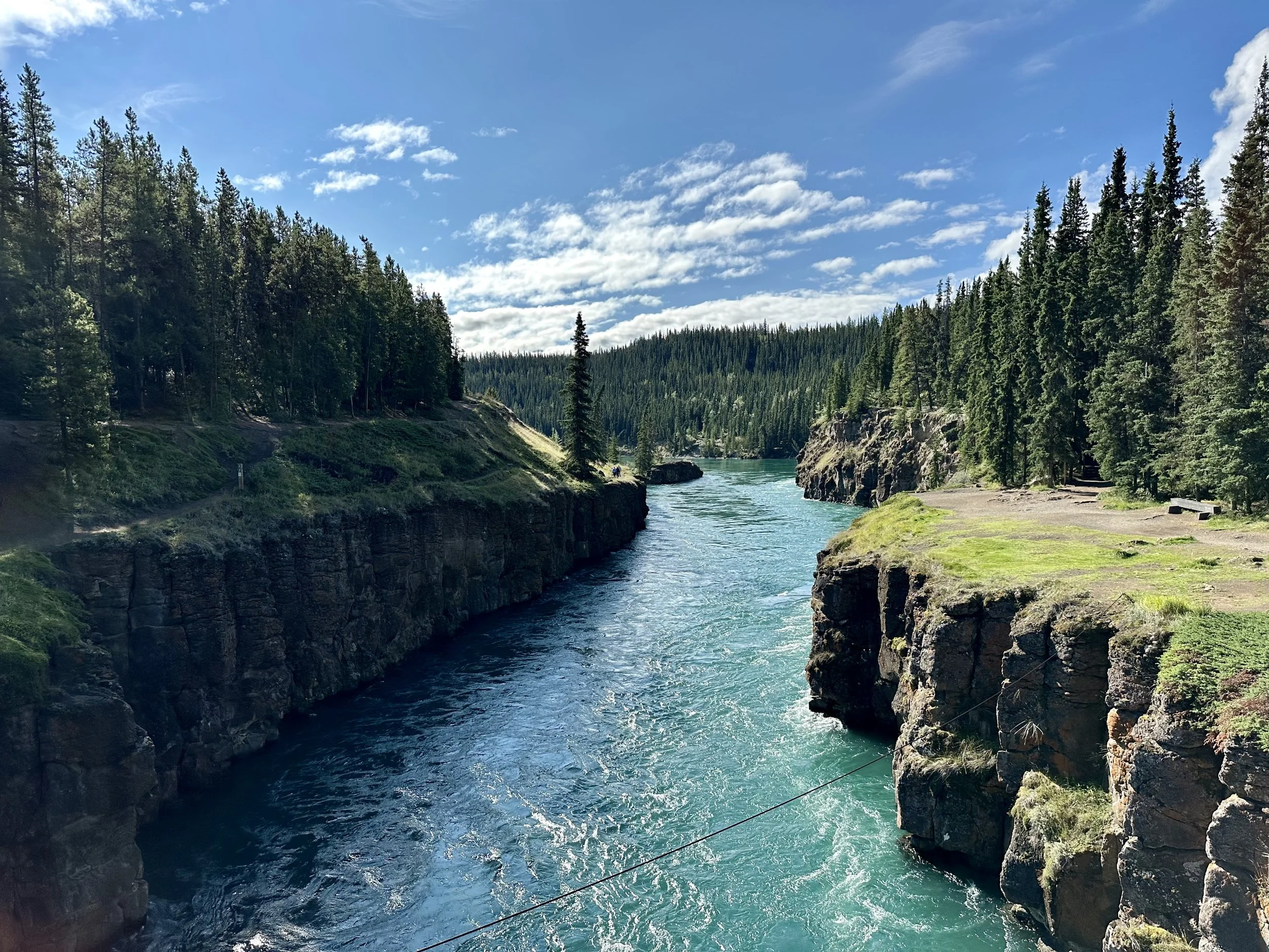 Finding trail and ultrarunning hidden gems in plain sight - Whitehorse, Yukon, Canada