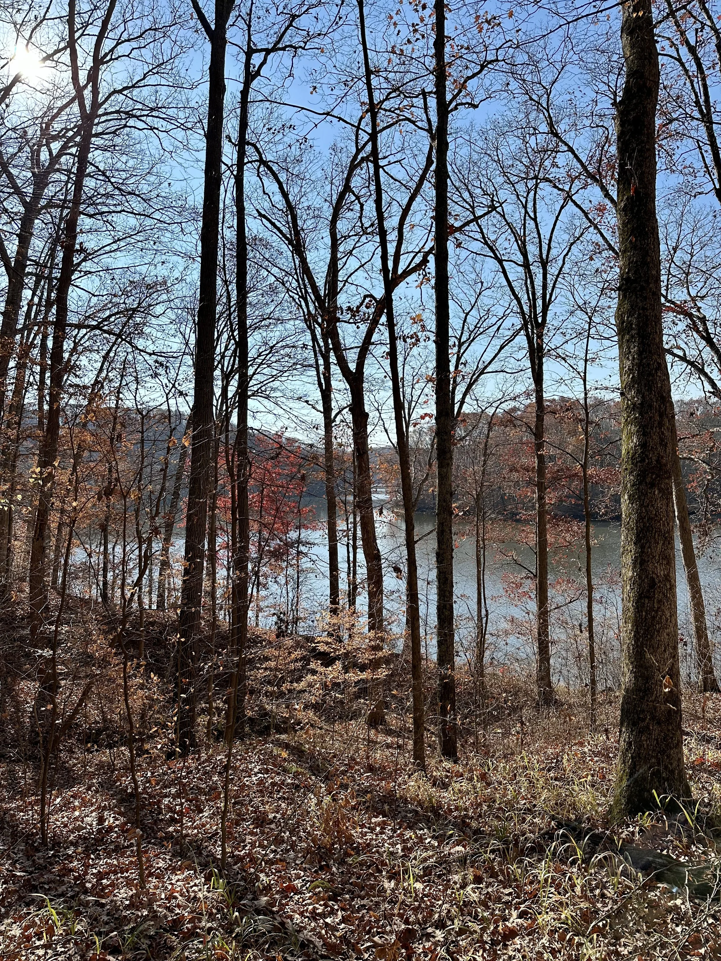 Ohio fall single track bliss, Bobcat Trail Marathon - Burr Oak State Park, Ohio