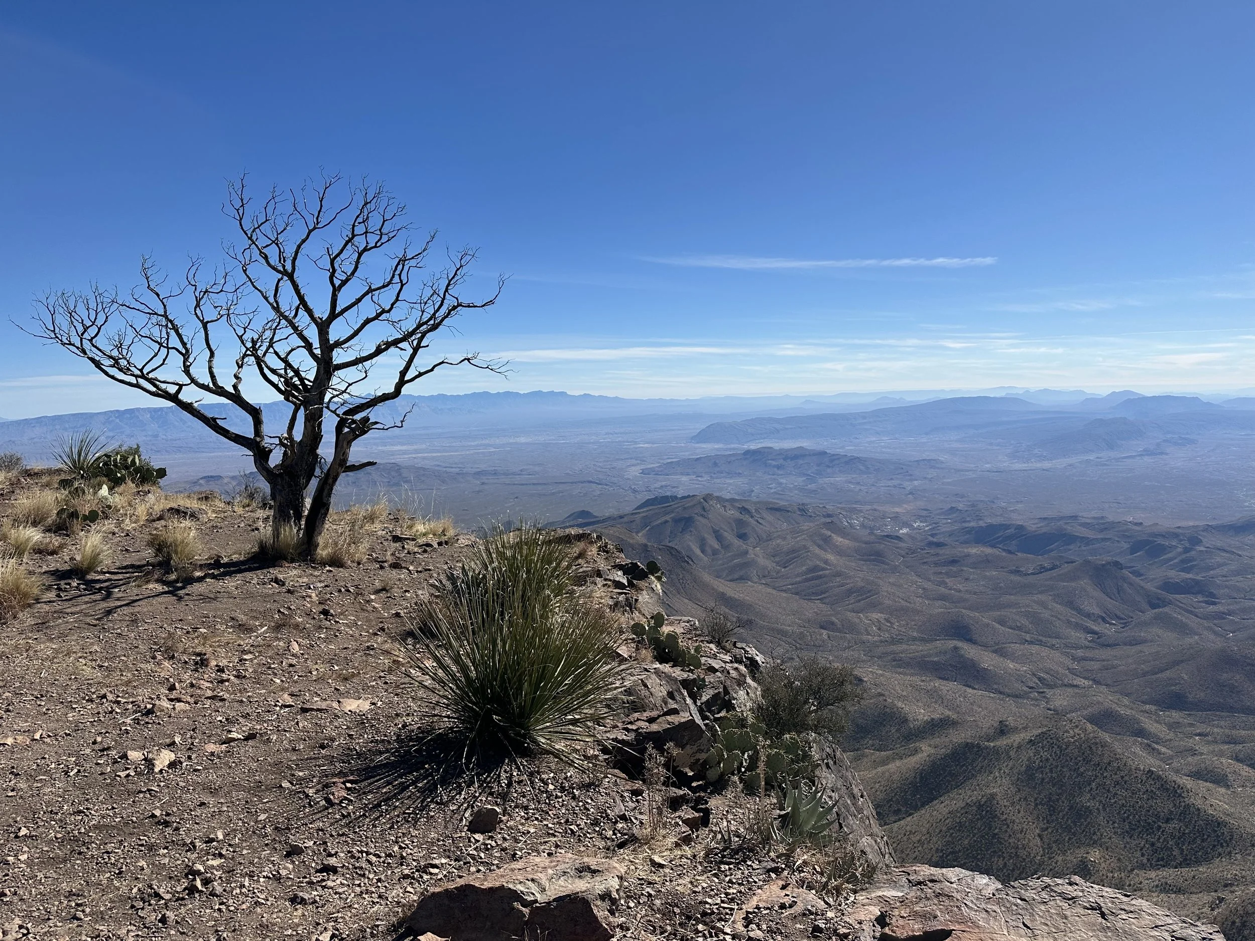 Don't Fence Me In  - Big Bend National Park, Texas