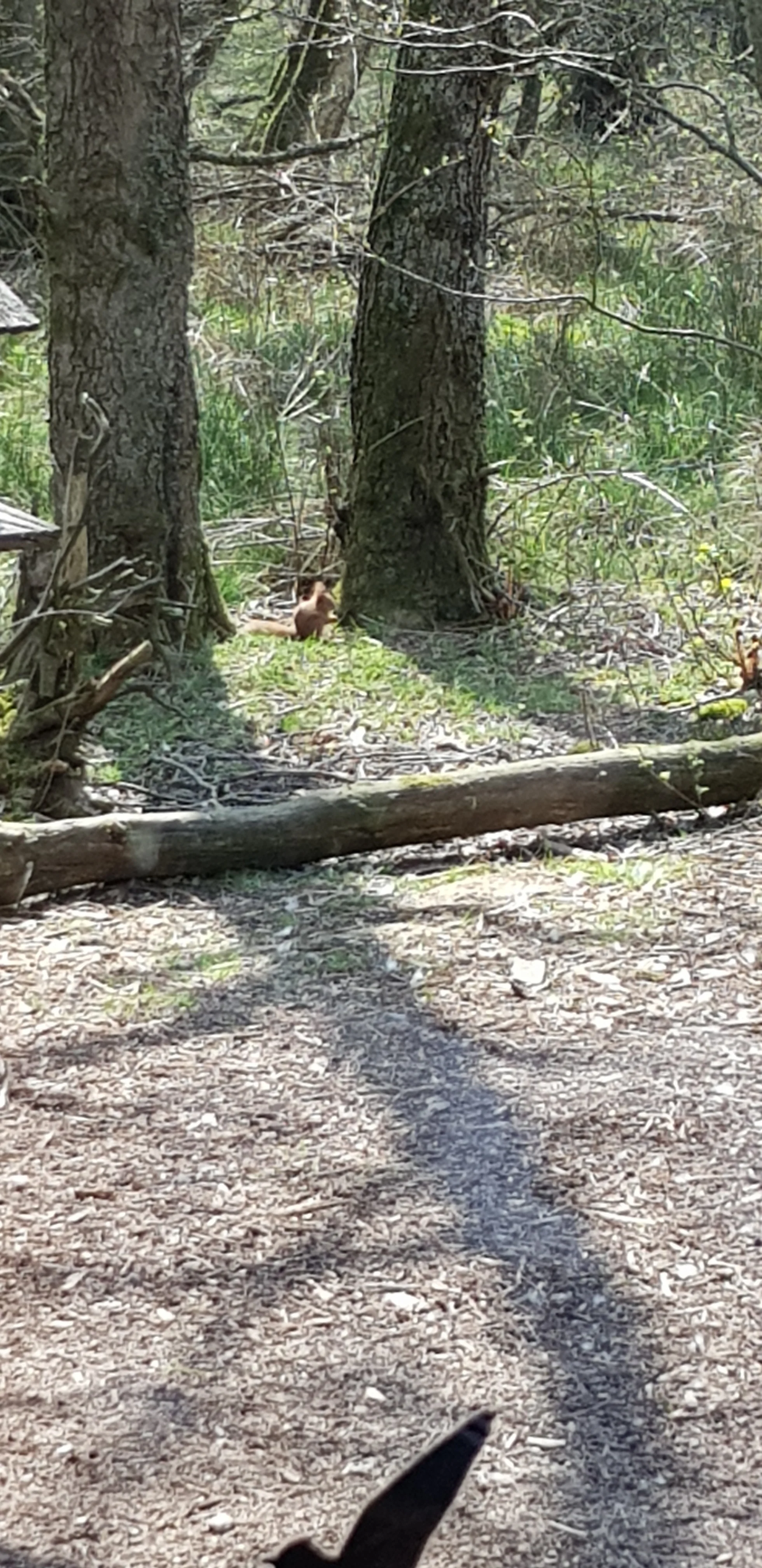 20190420_131852(0).jpg