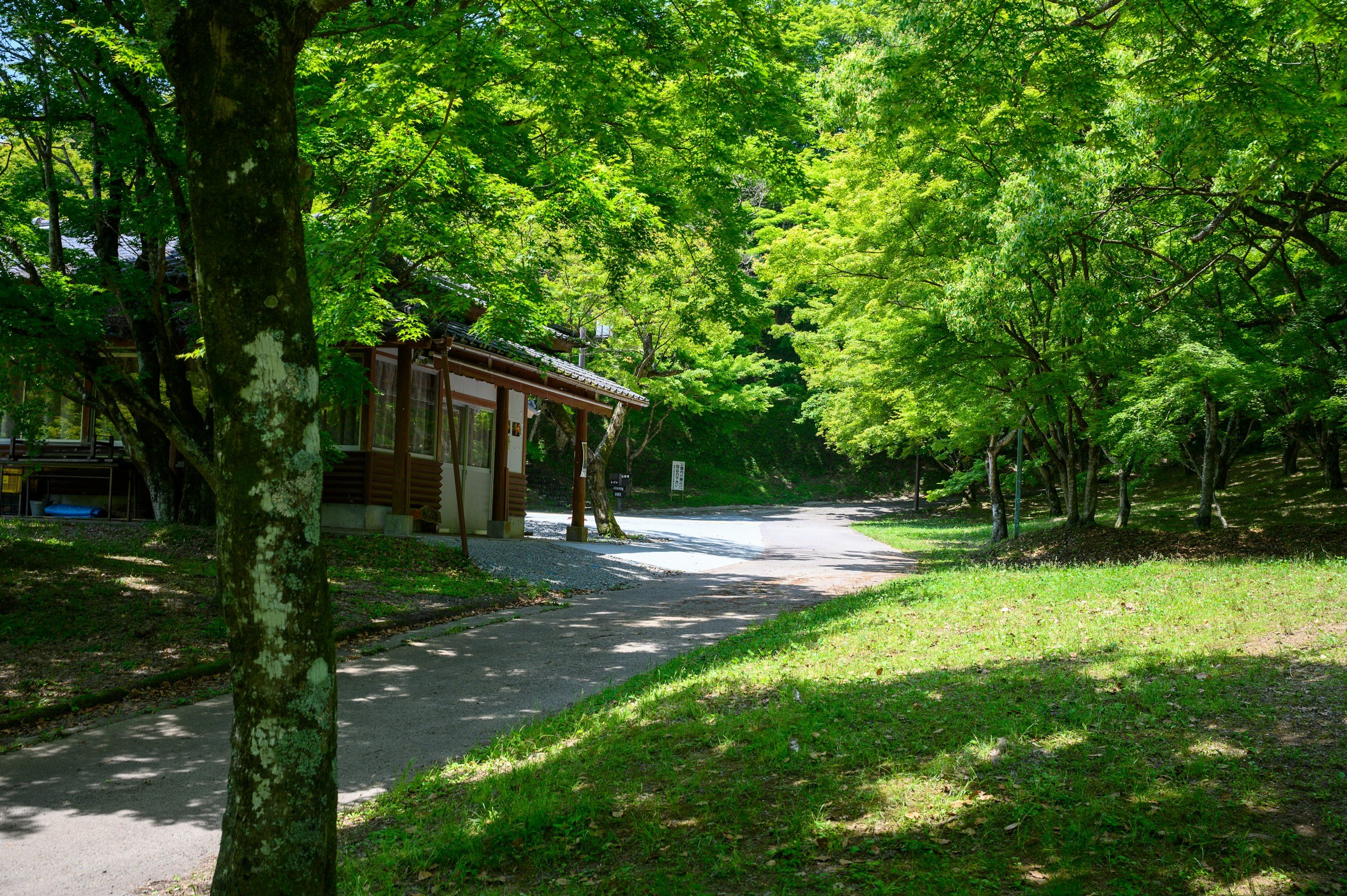 Church of Christ Teen Camp 2025