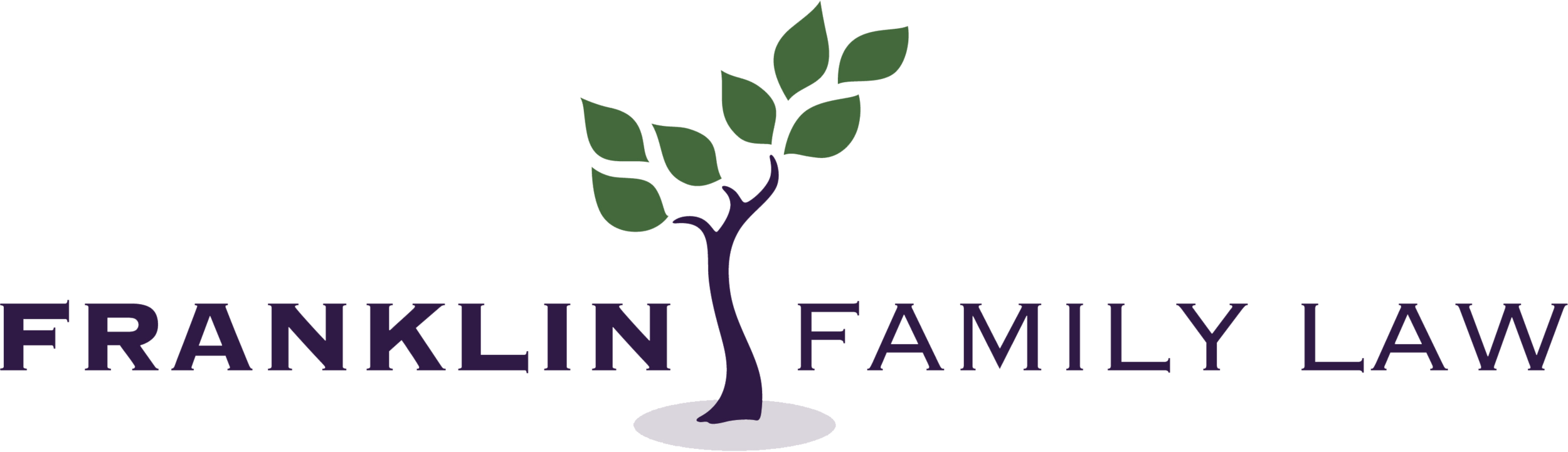 Franklin Family Law