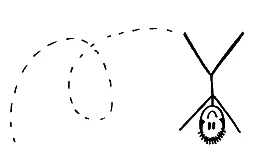 upsidedowncartwheelimage-1.jpg