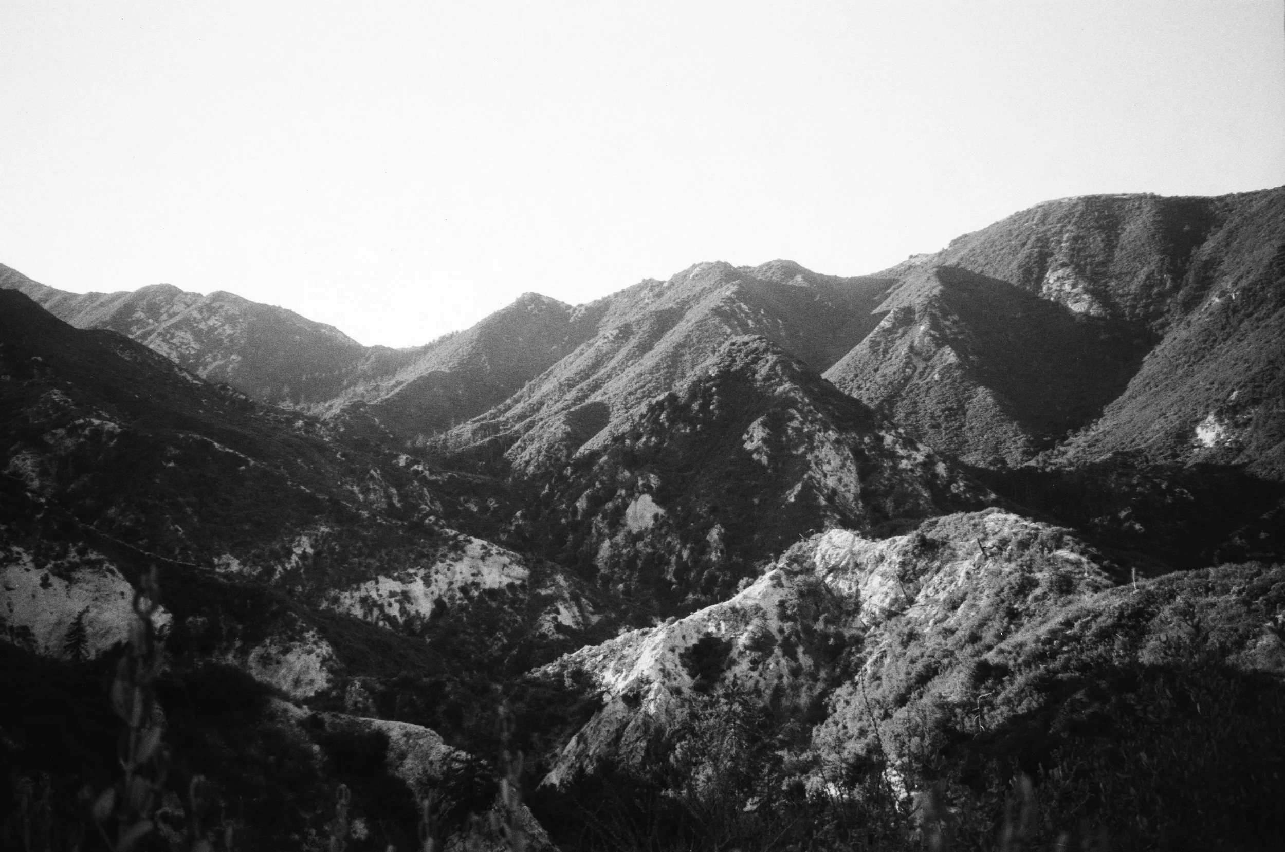 IMG_5807.jpeg