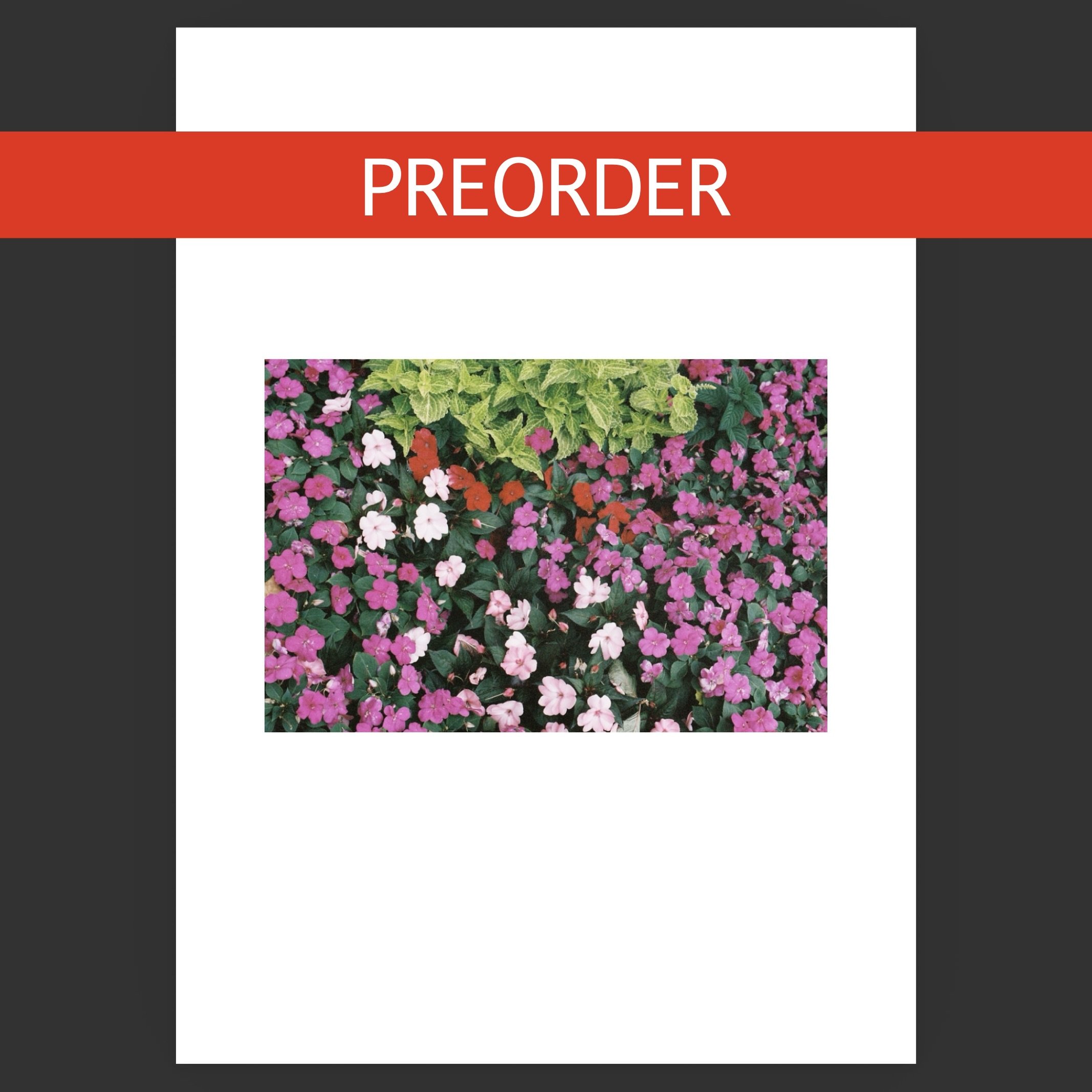 winter 2026 preorder image.jpeg