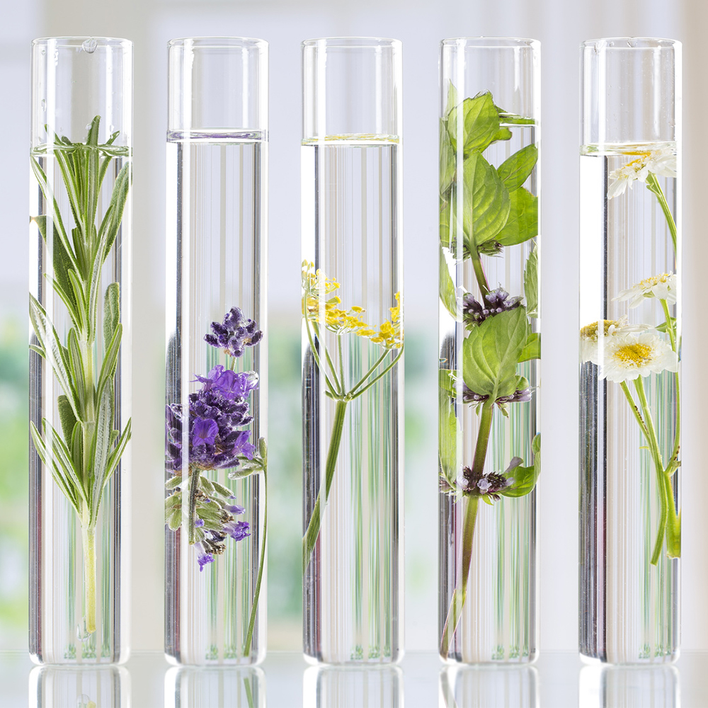 how-to-make-your-own-aromatherapy-blends.jpg