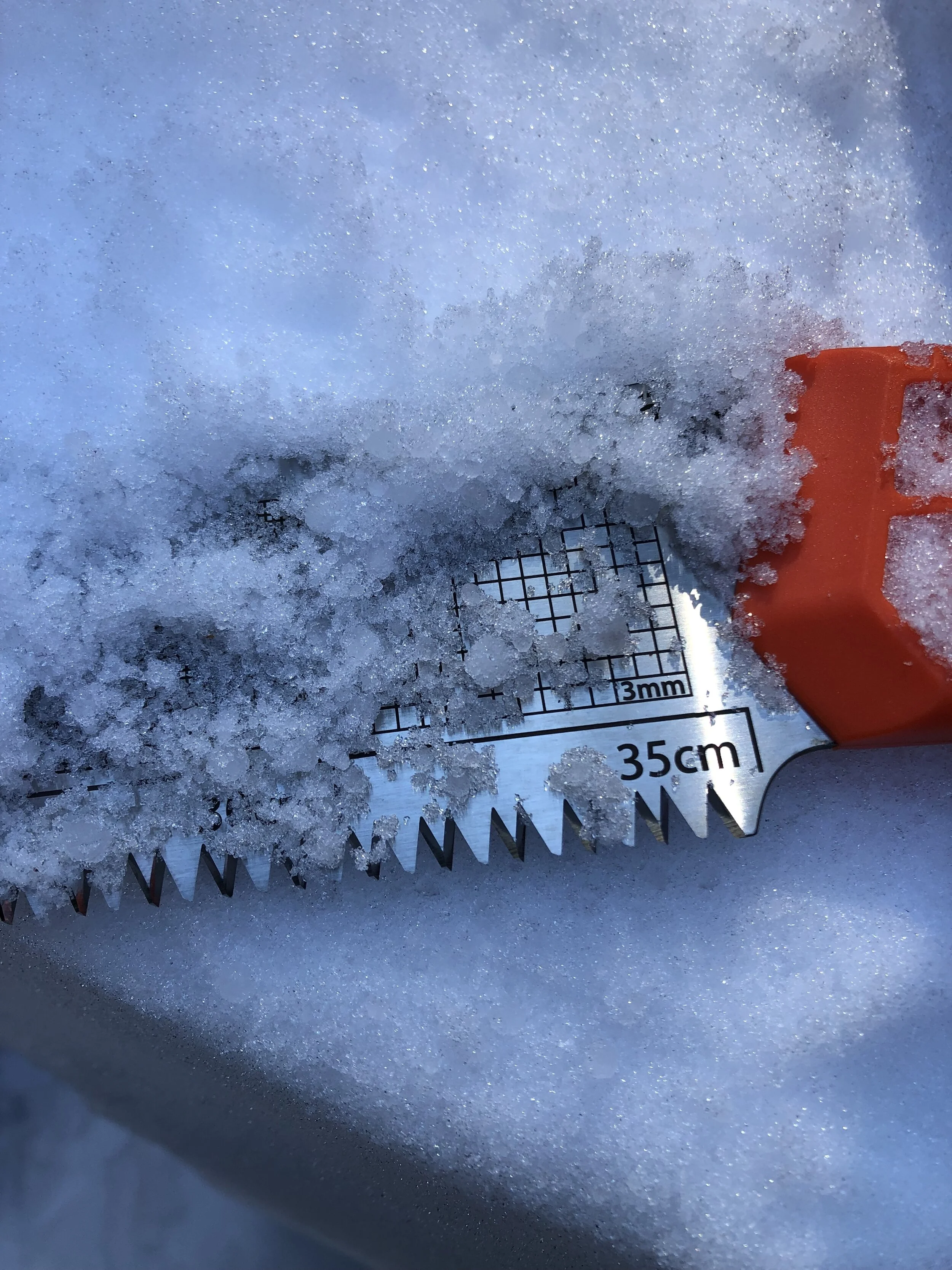 AIARE REC Level 1   SOLD OUT!