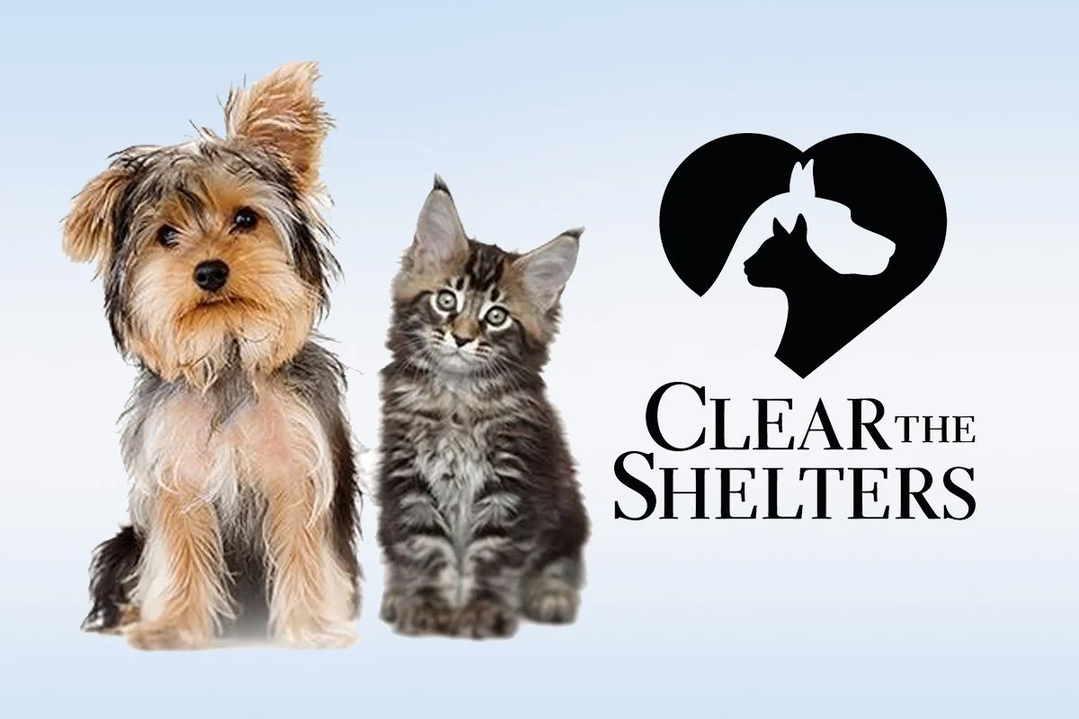 Special Event: Clear the Shelters