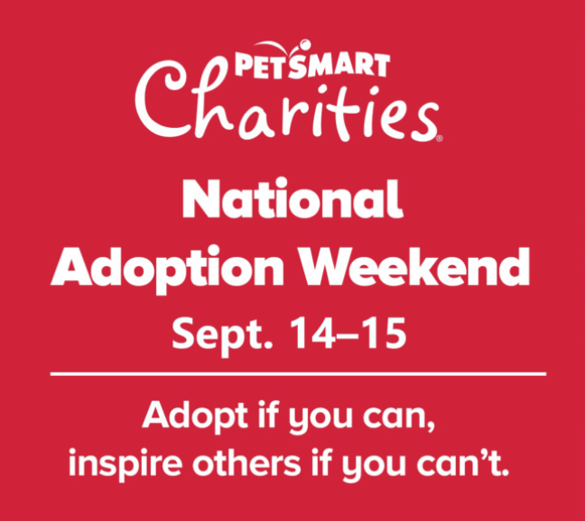 Special Event: National Adoption Weekend