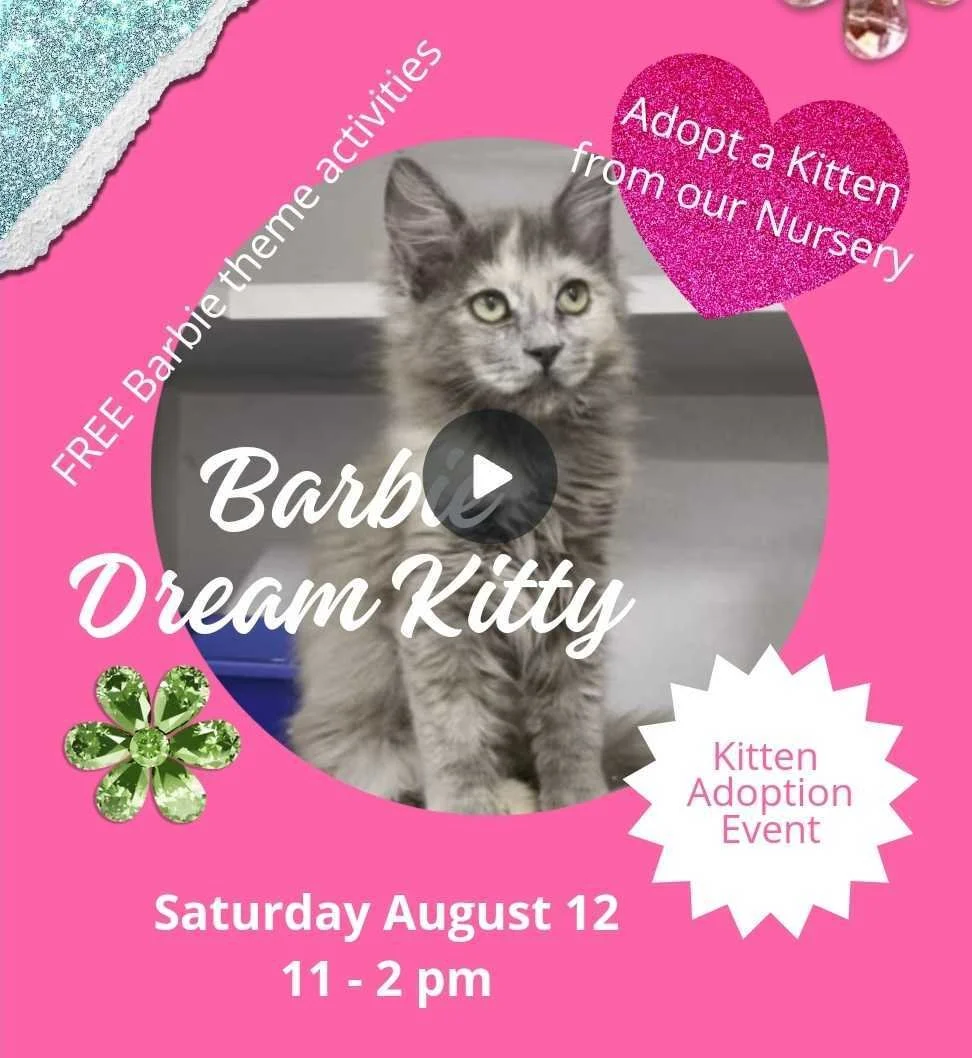 Barbie Dream Kitty Adoption Event - August 12