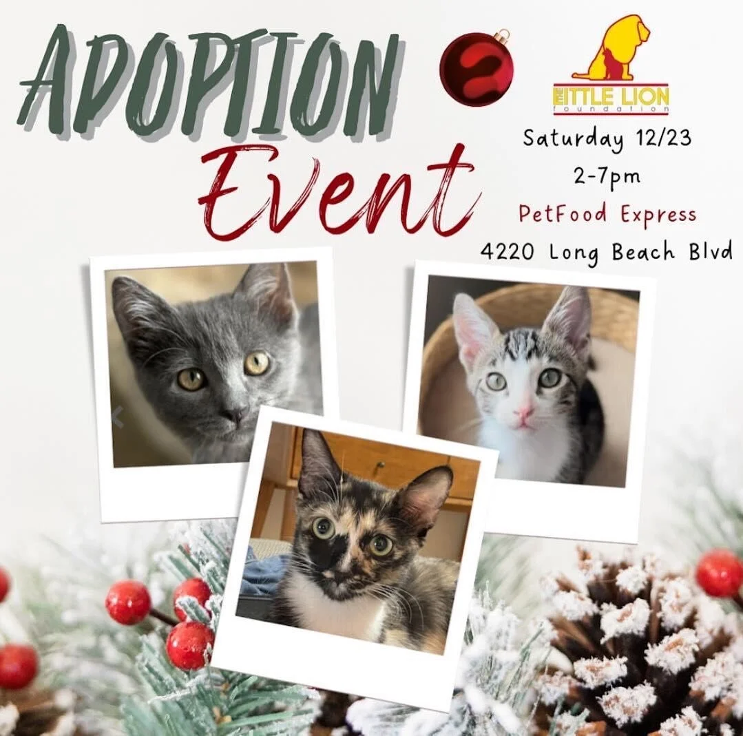 Pet Food Express Adoption Event