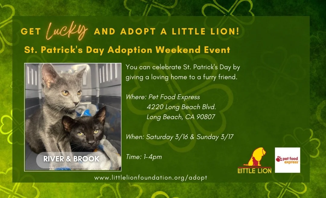 St. Patrick's Day Weekend Adoption Event