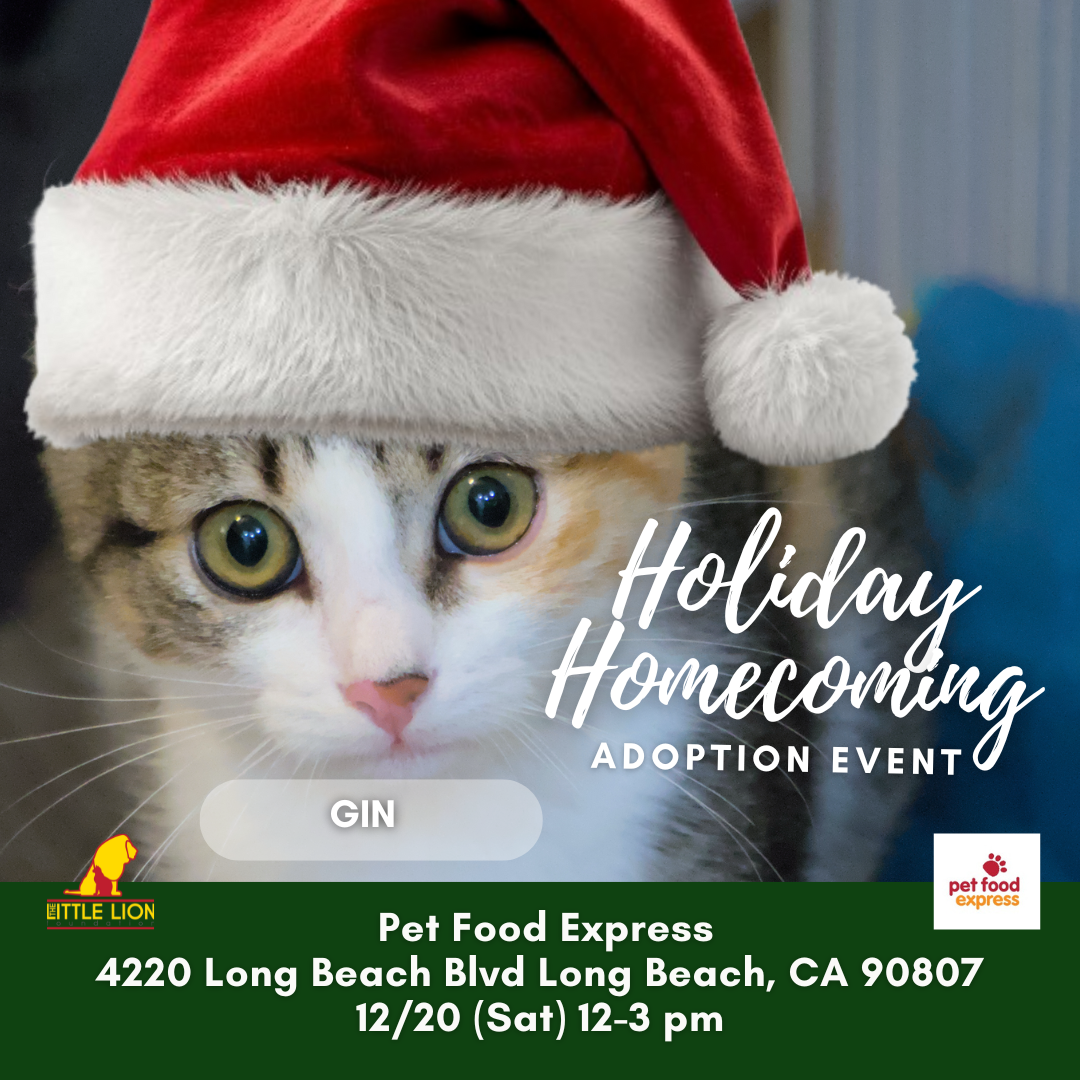 Holiday Homecoming Adoption Event