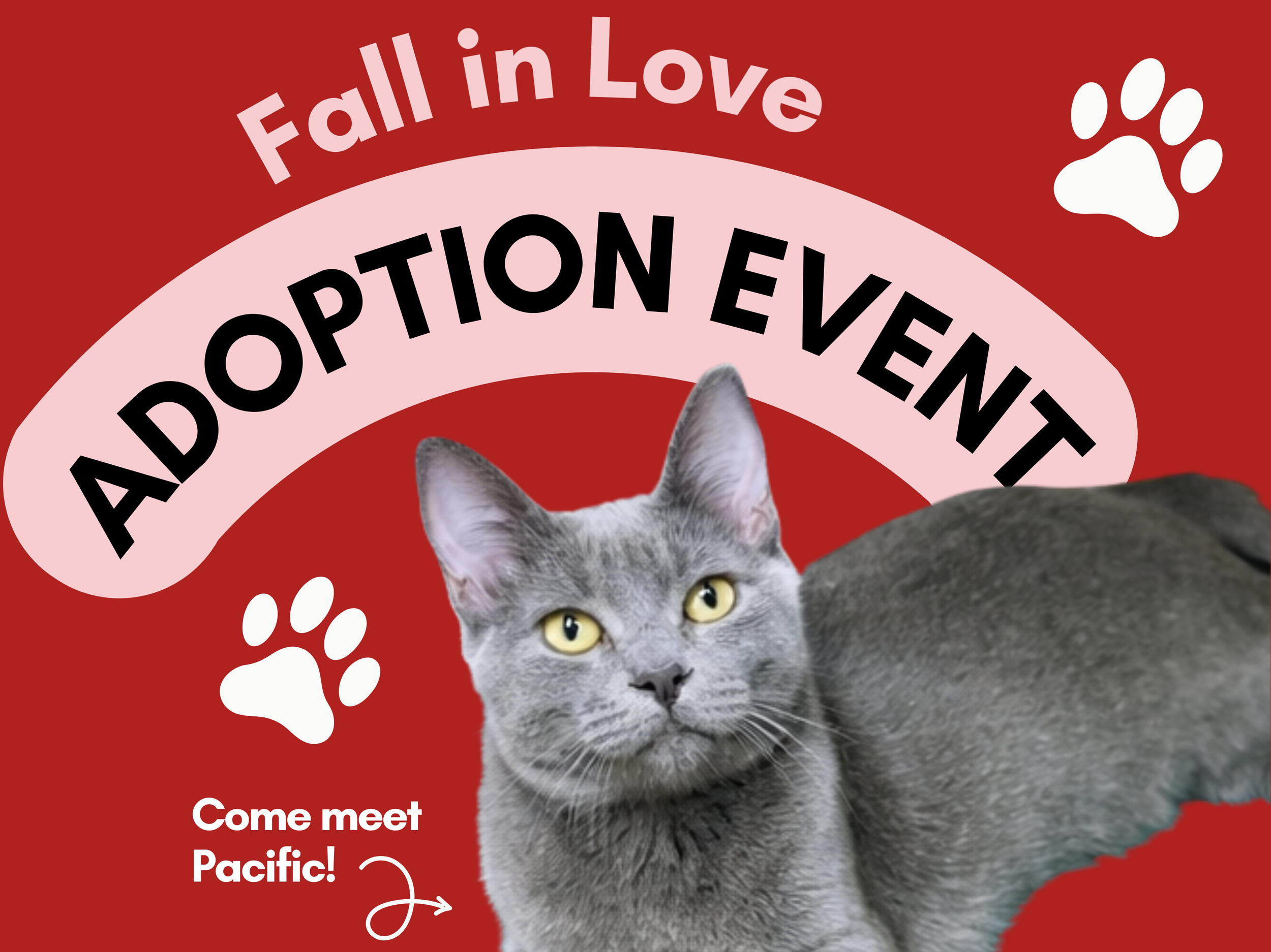 Fall in Love Adoption Event