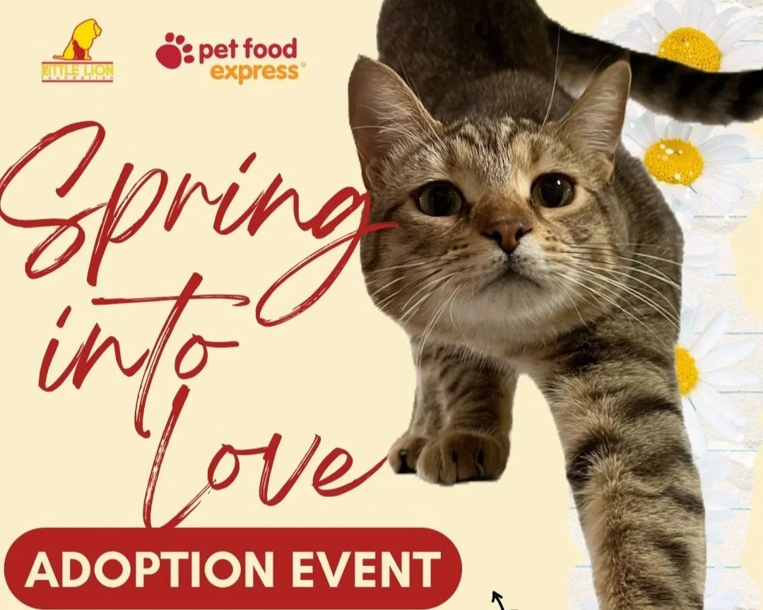 Spring Into Love Adoption Event