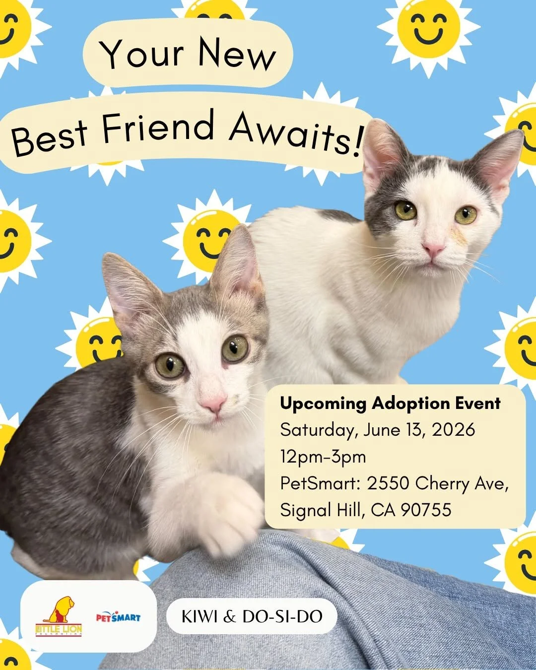 New Best Friend Cat Adoption Event