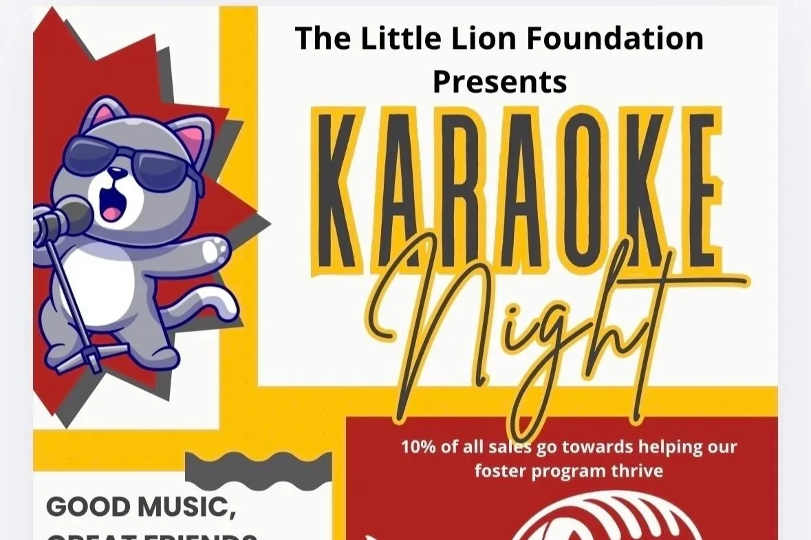Karaoke Night for a Cause