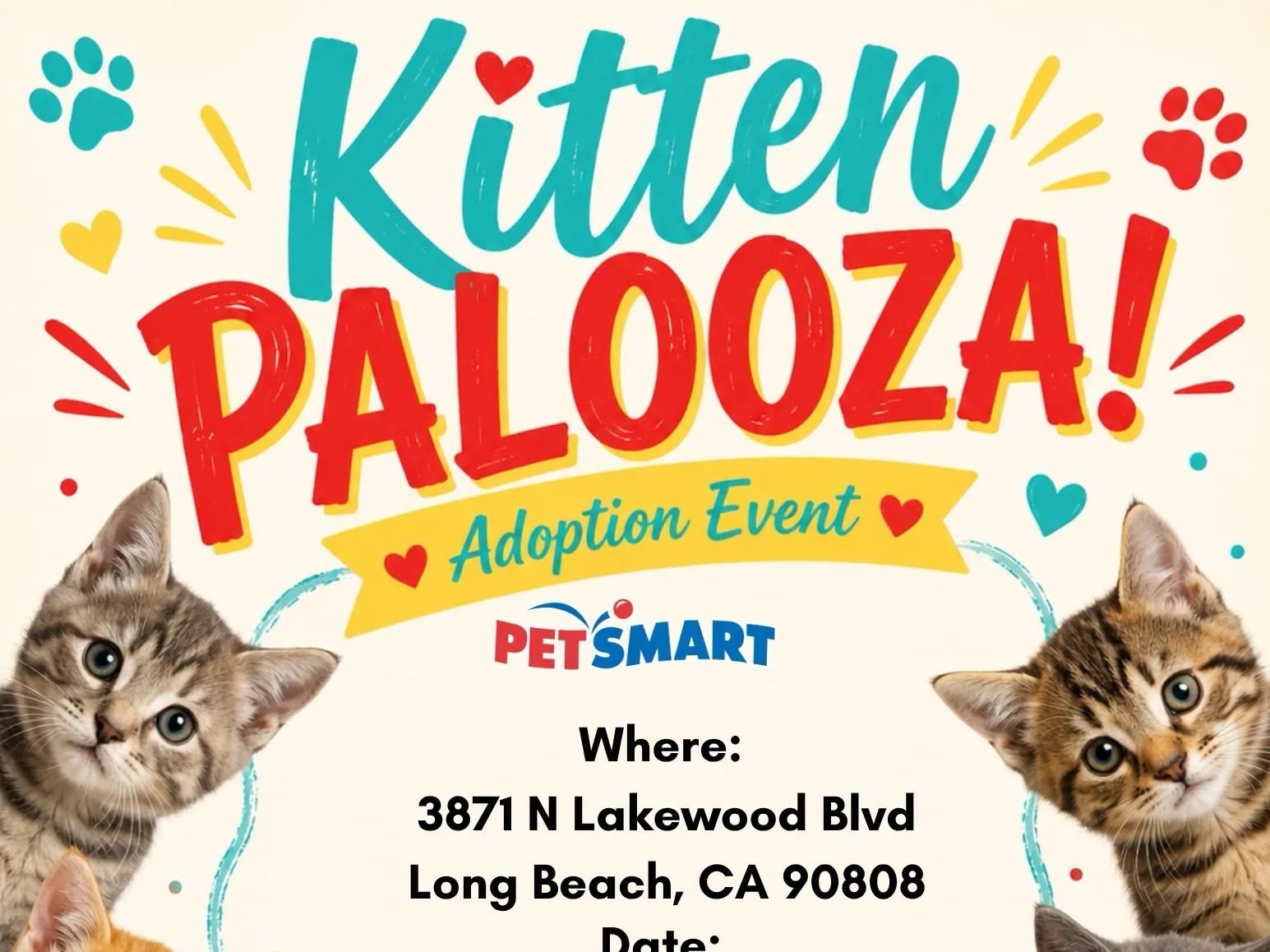 Kitten Palooza Adoption Event