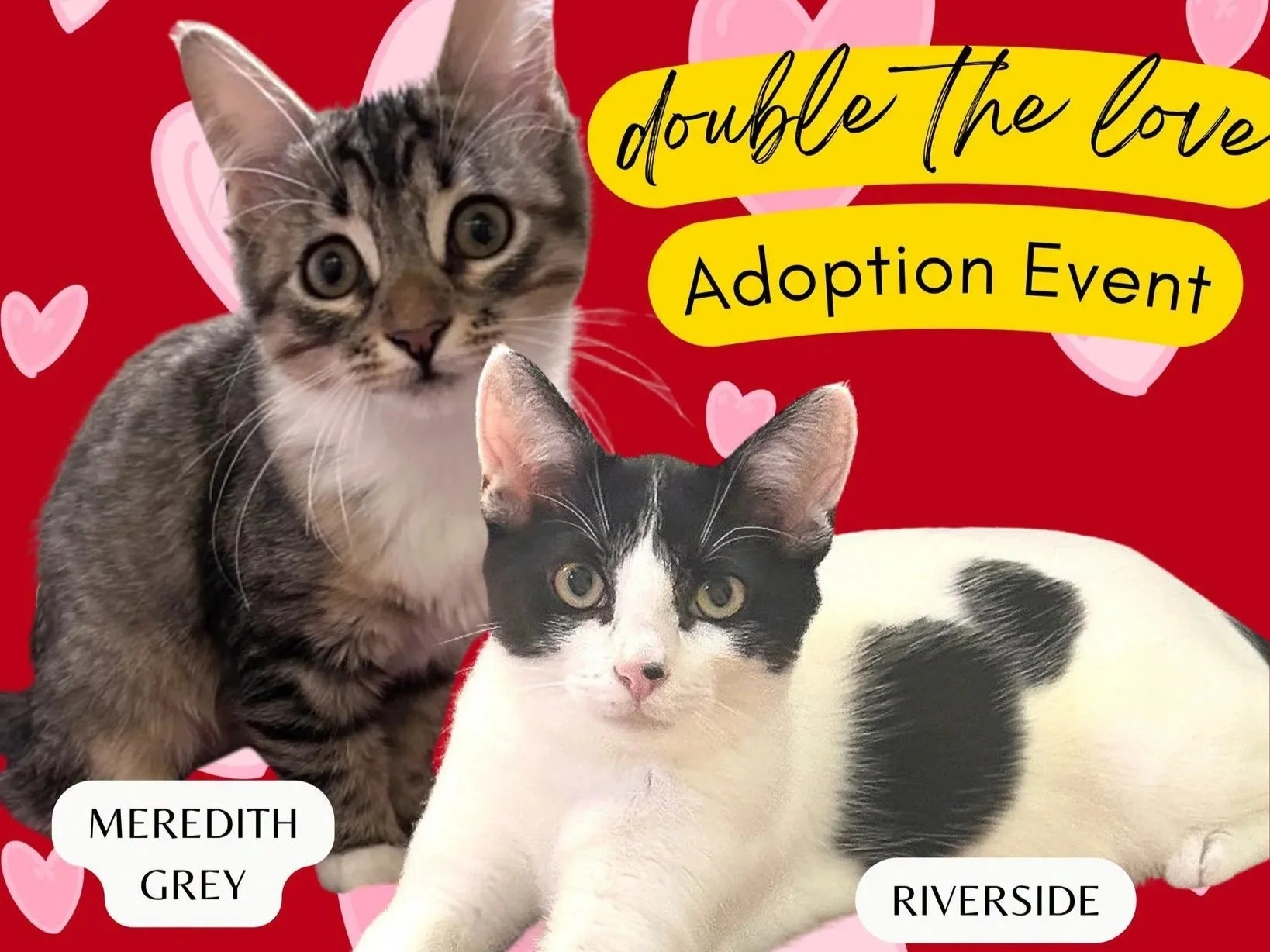 Double the Love Adoption Event