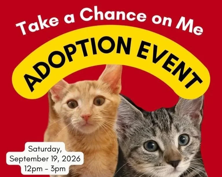 Take a Chance on Me Cat Adoption Event