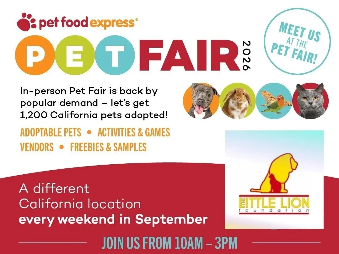 Pet Fair