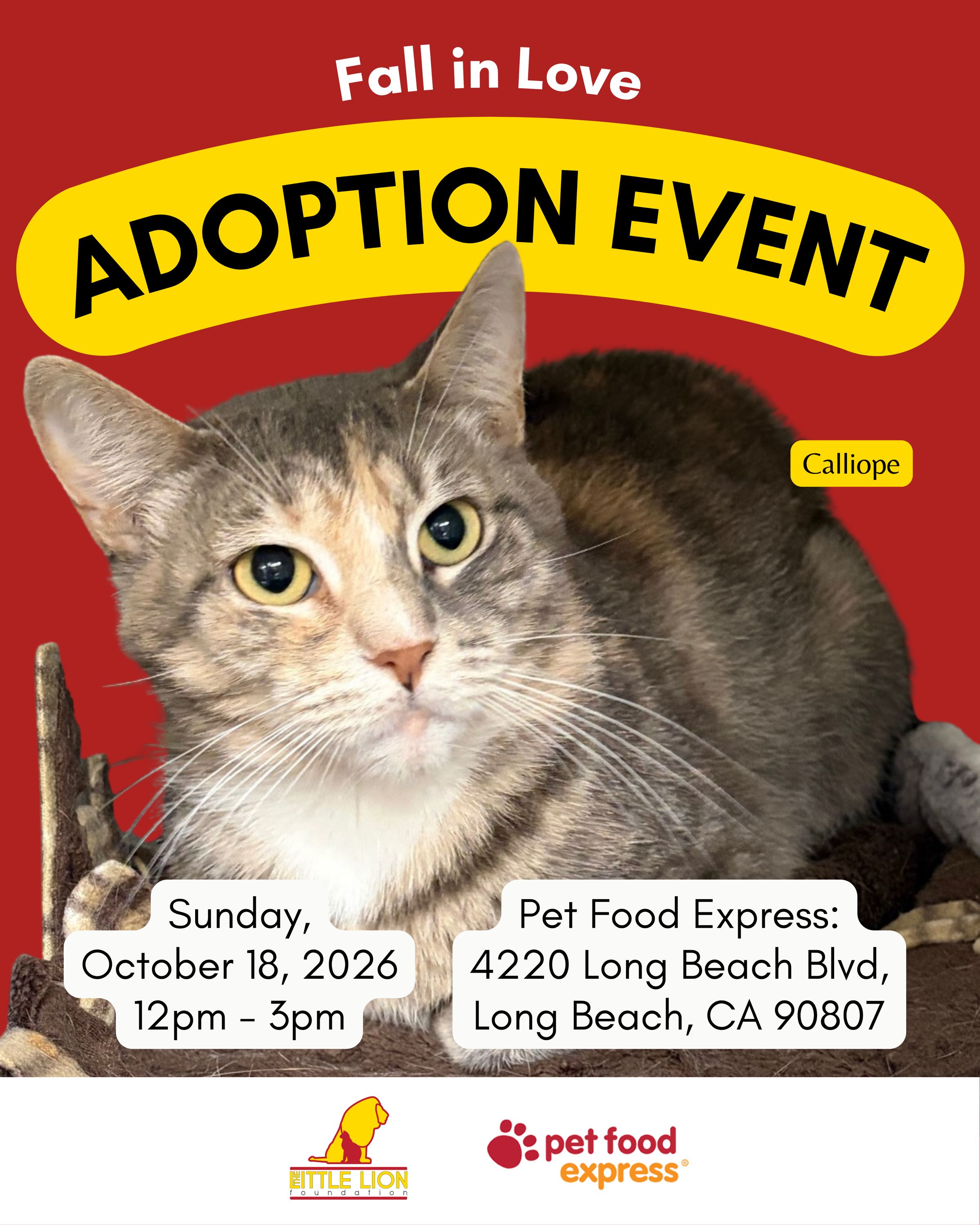 Fall In Love Adoption Event