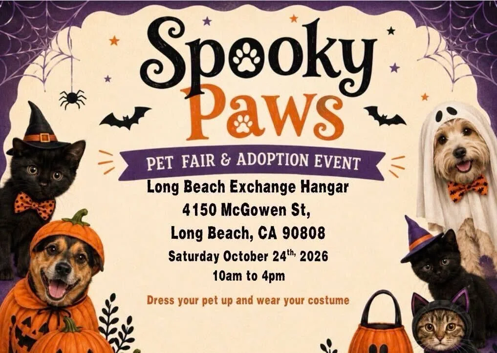 Spooky Paws Pet Fair and Adoption Event