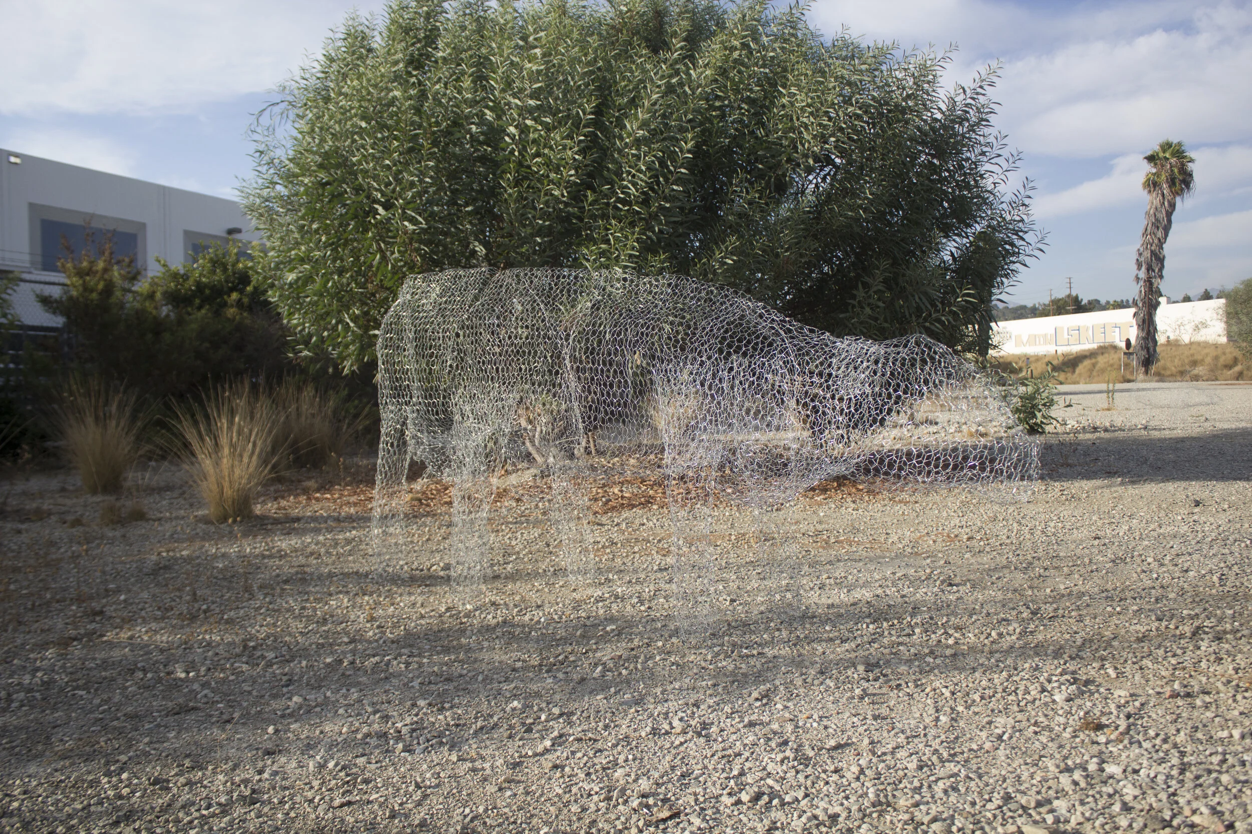 cow 02.jpg