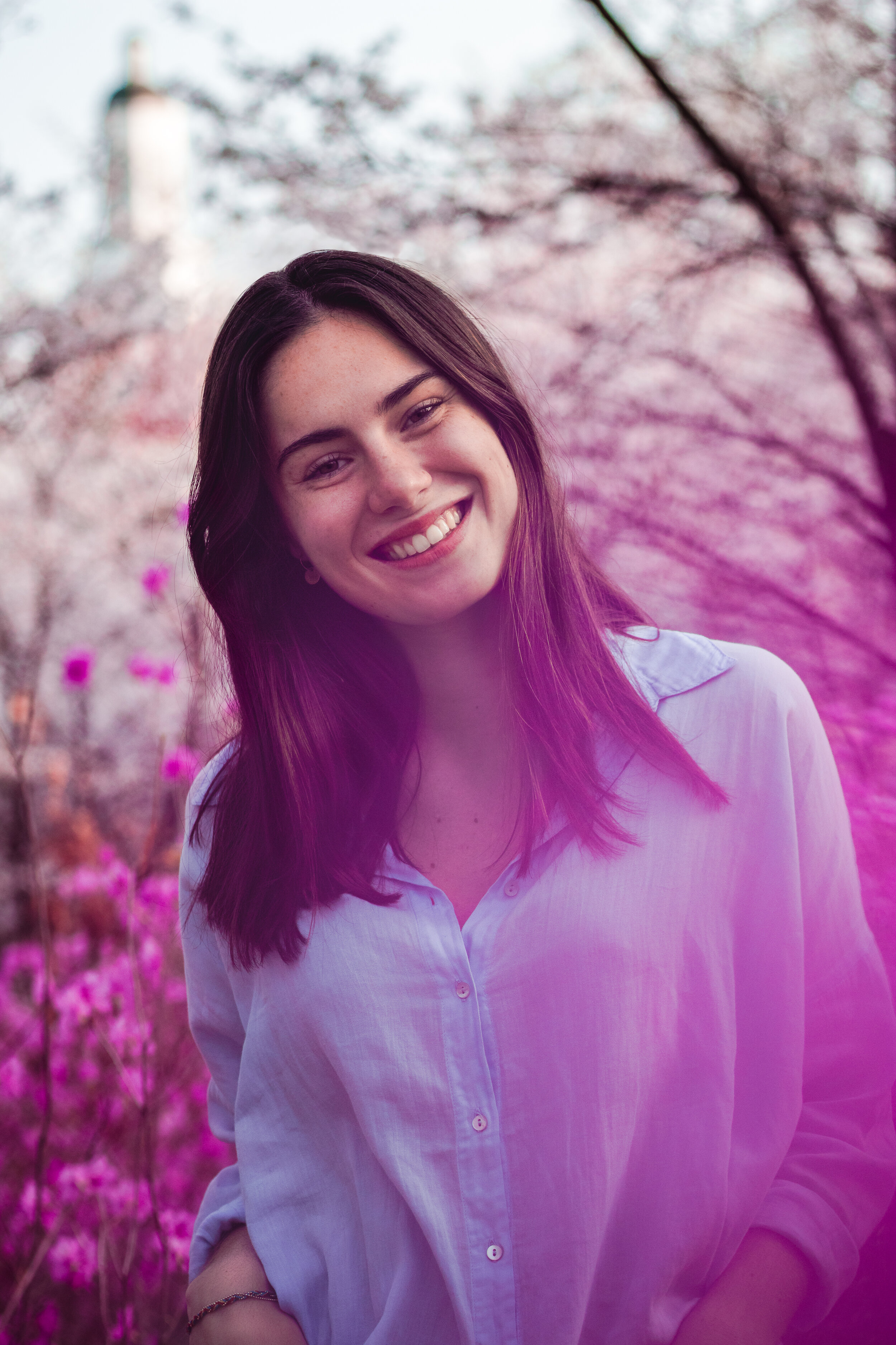 Portfolio Photos Cake Production