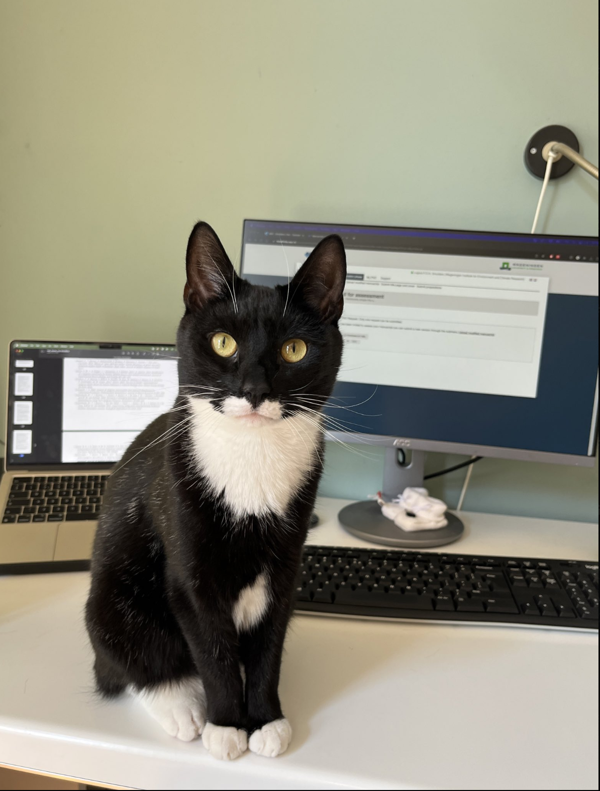 Finishing my PhD thesis and maternity leave!