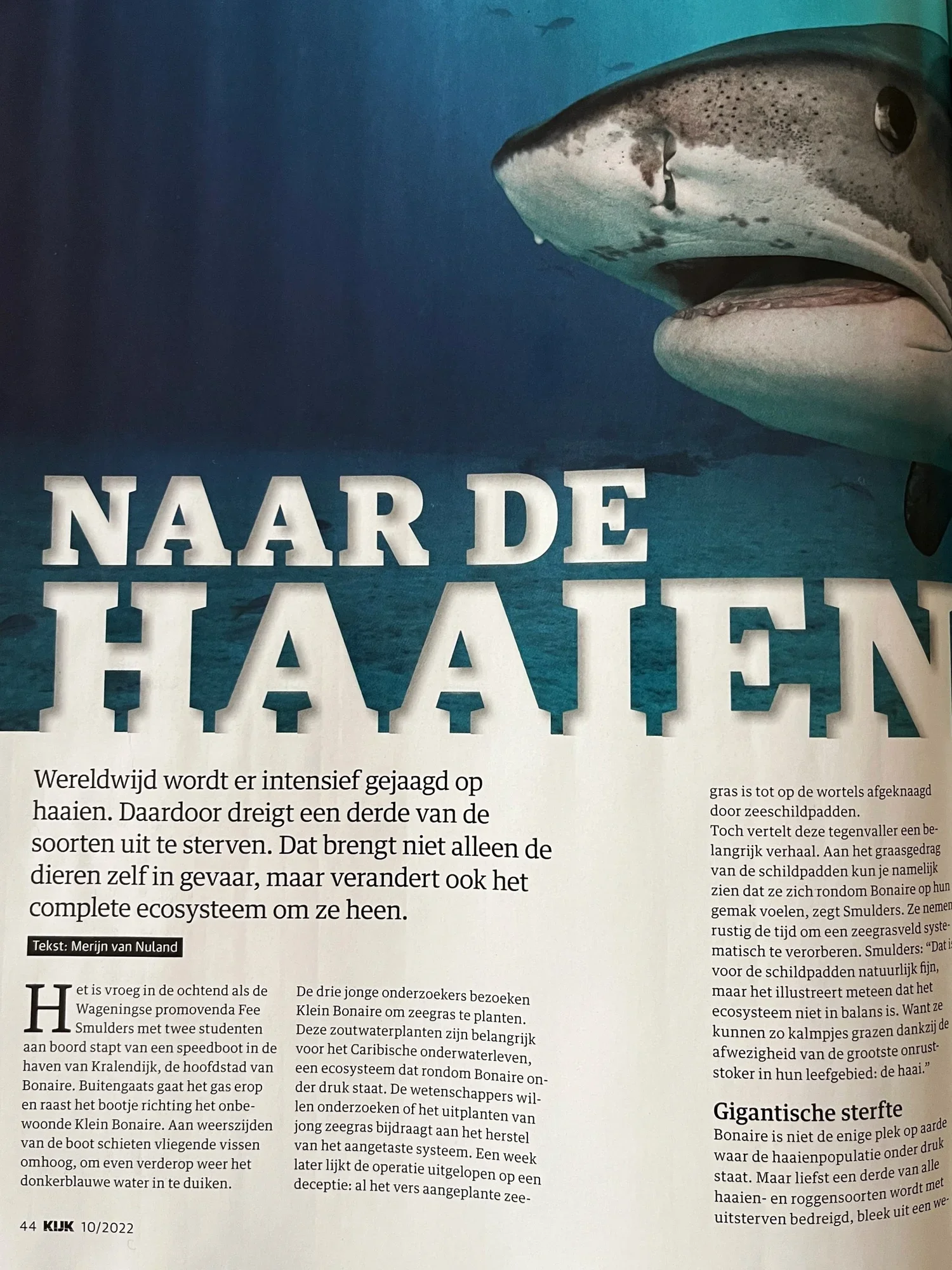 Article in KIJK magazine (Dutch)