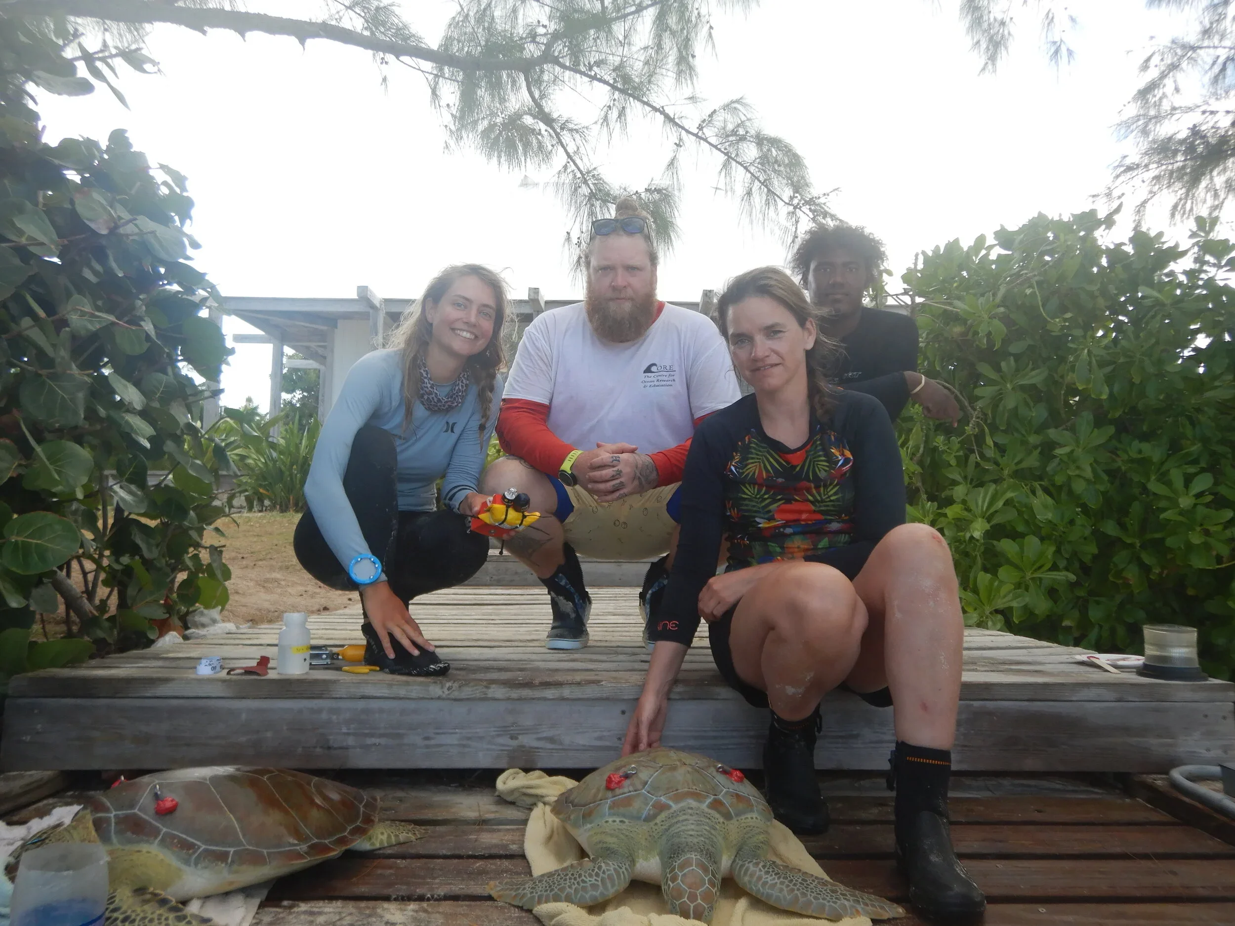 Follow-up turtle spy cameras on the Bahamas