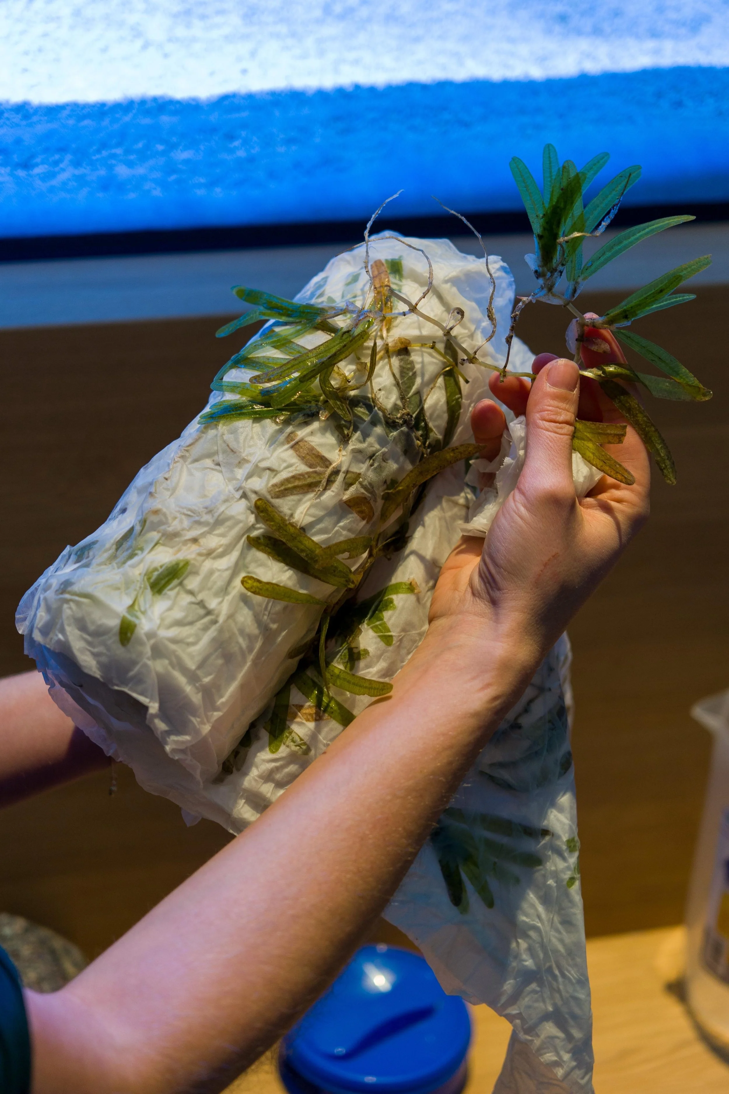 25fa3739-9d2c-467e-ad89-d158b74b2c58 3 (1).JPG